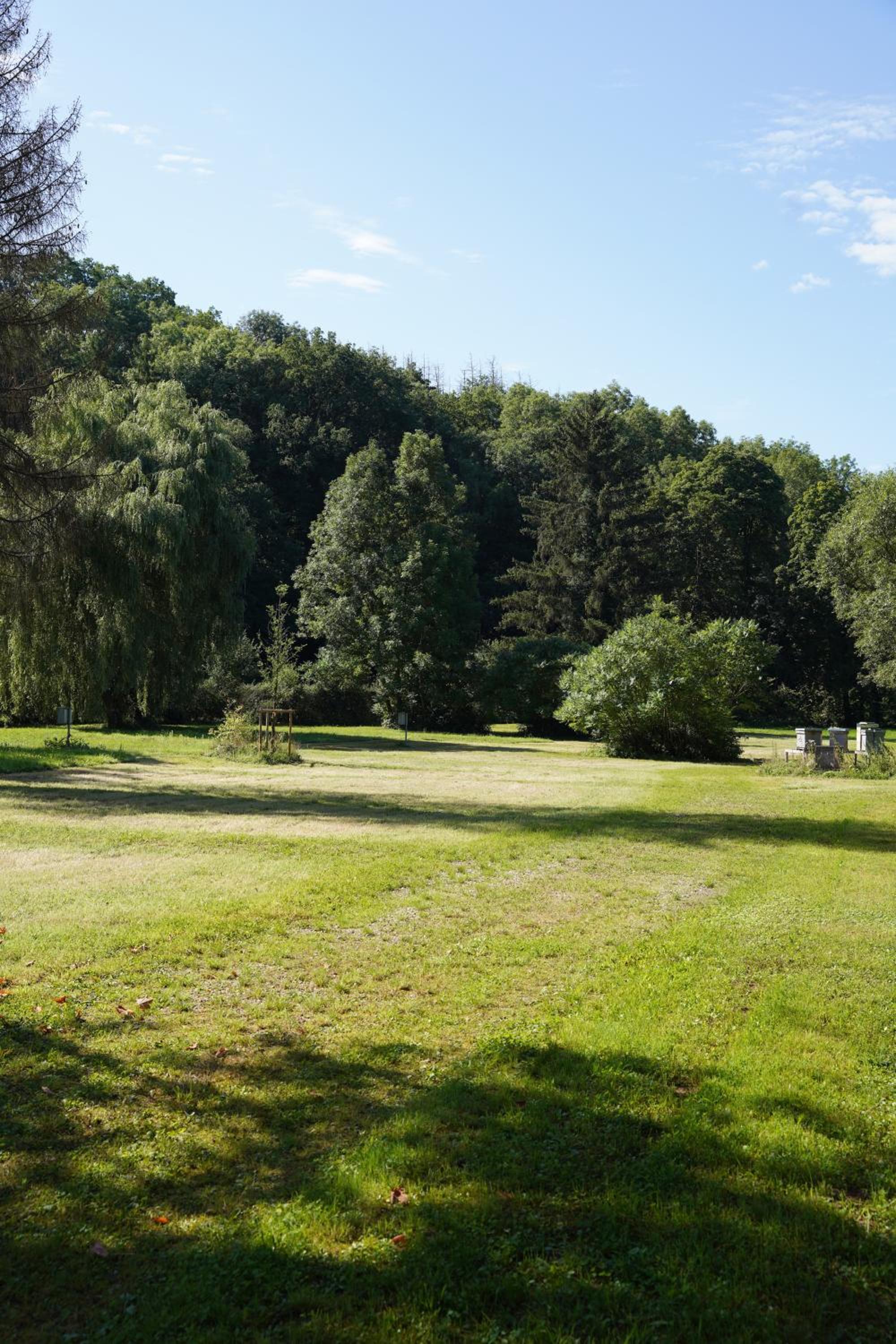 B&B Alferweiher view 3