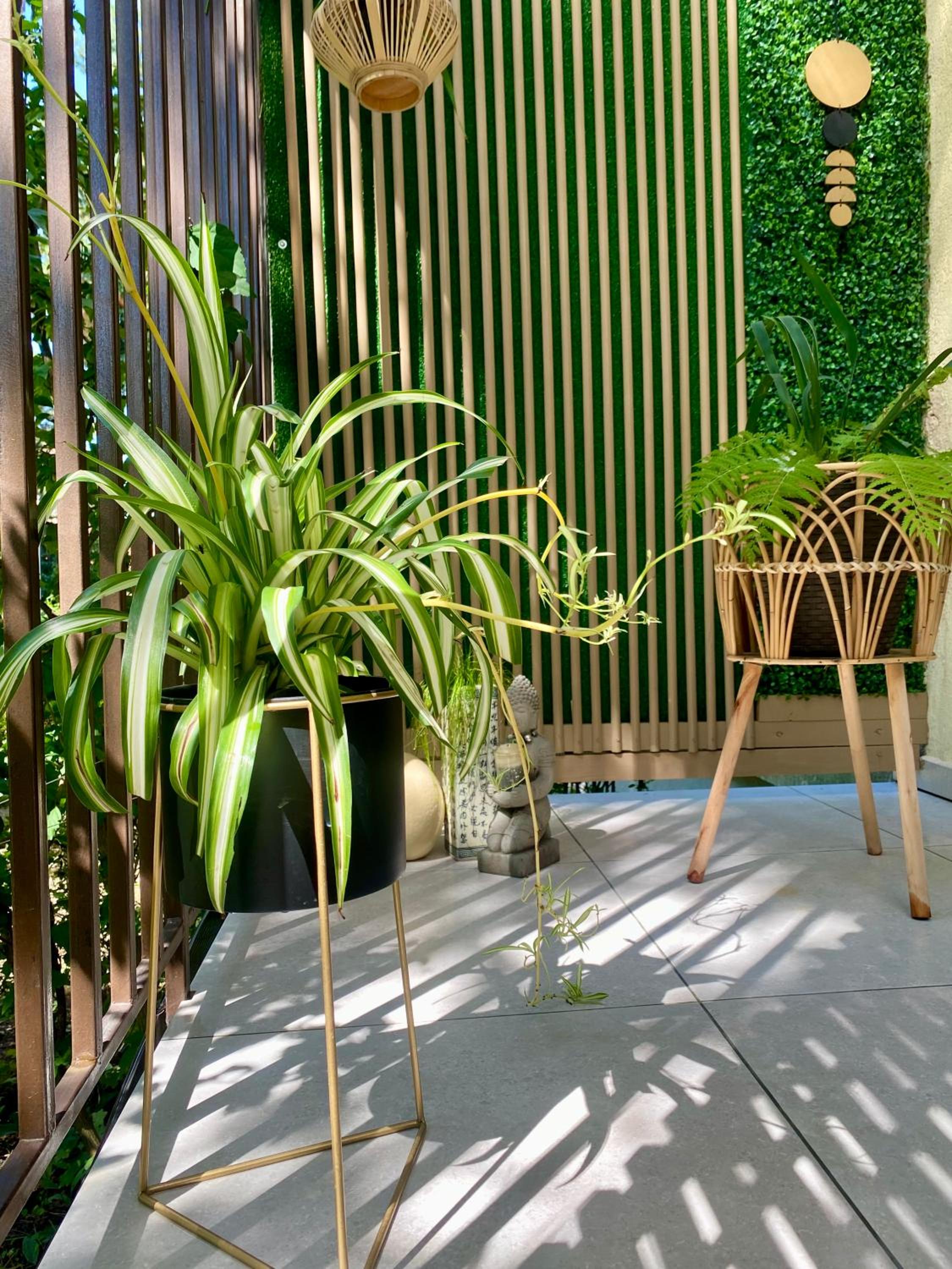 Maya Apartment view 2