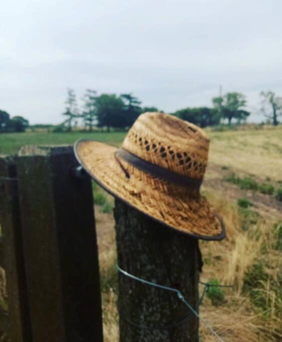 A Morriña