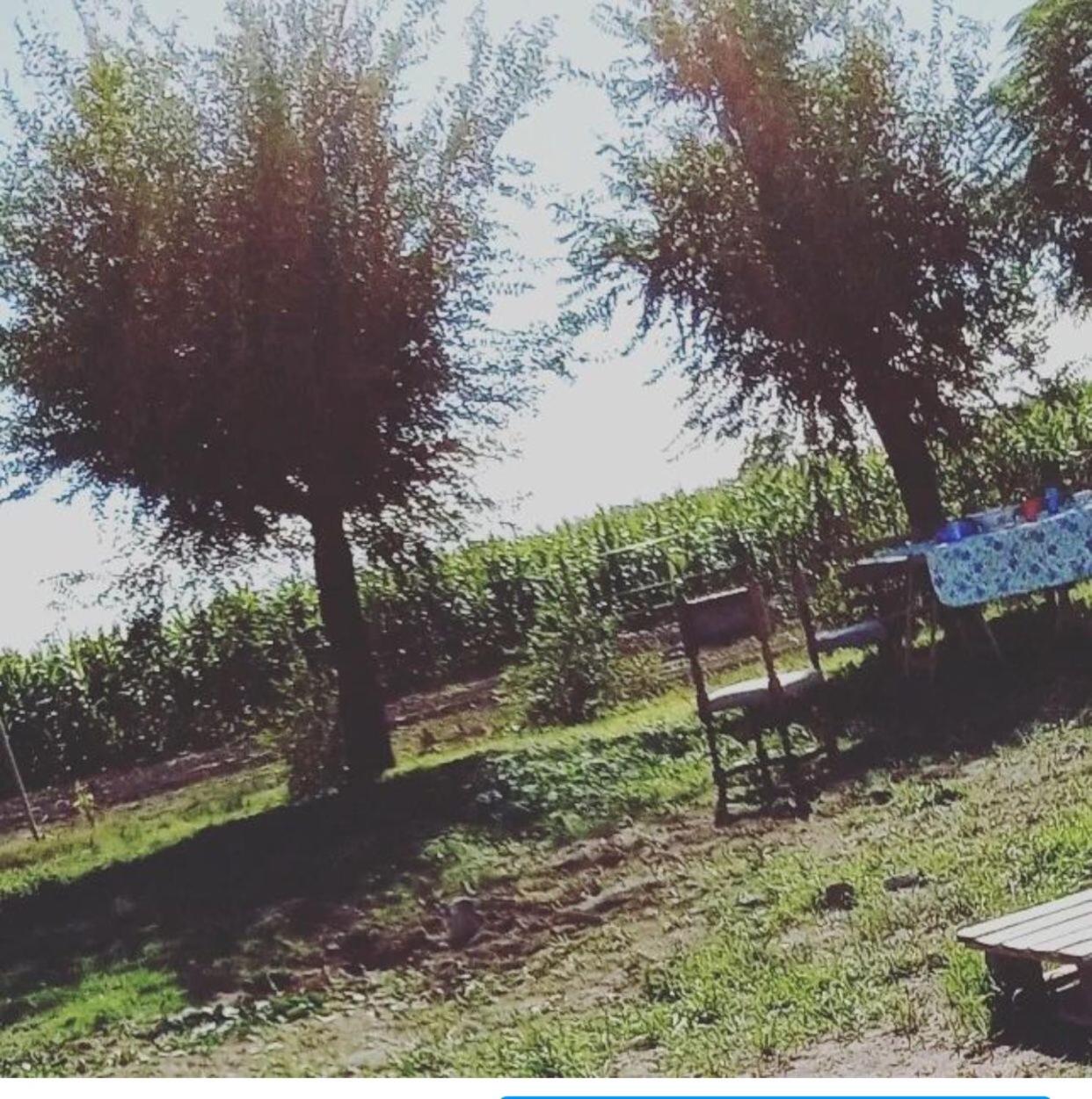 A Morriña