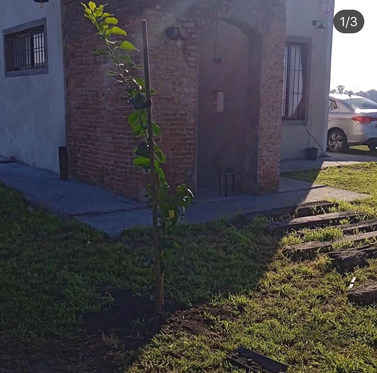 A Morriña