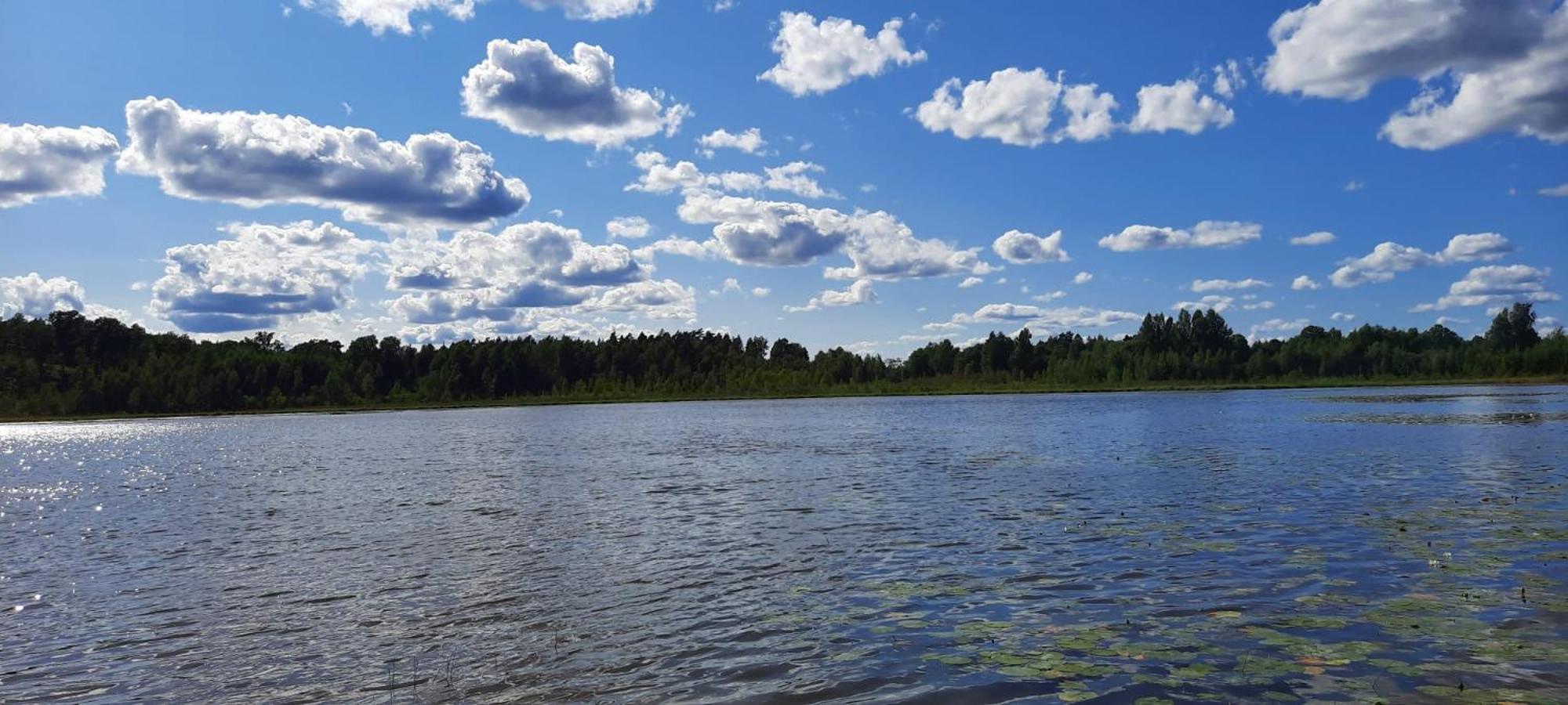 Photo 48