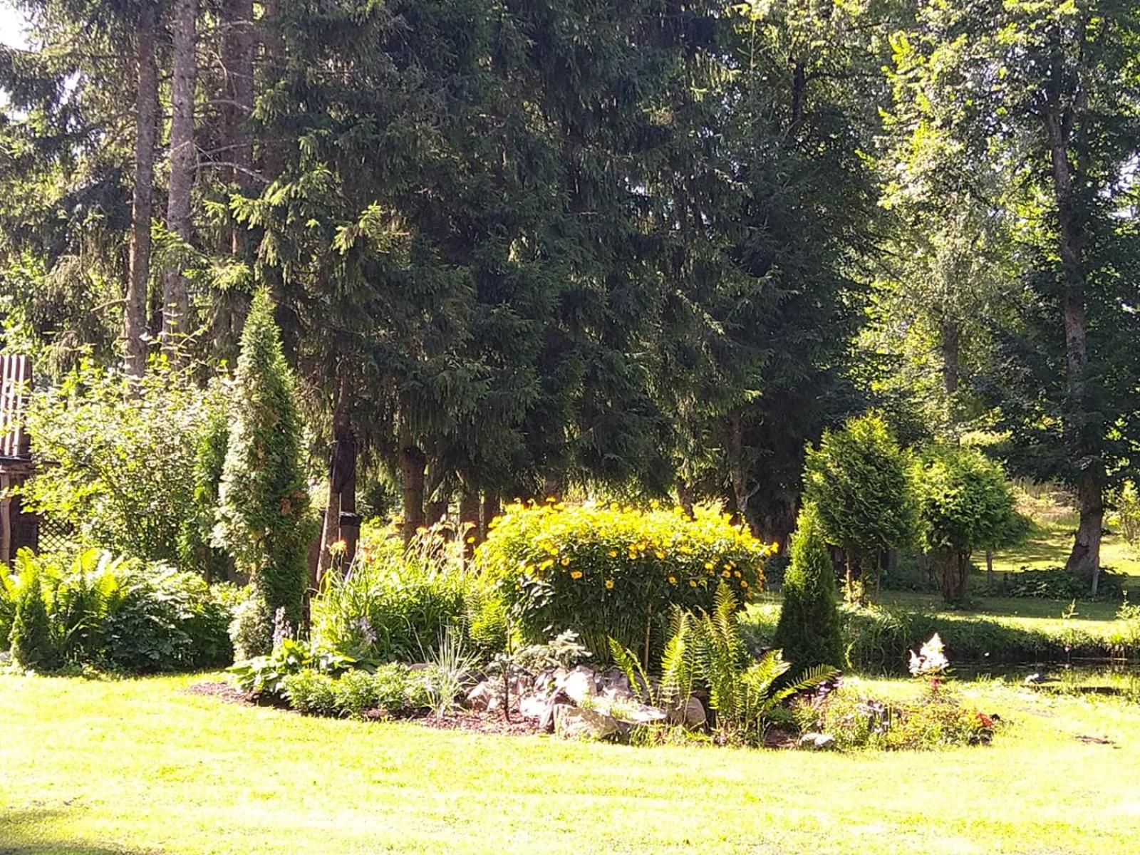 Photo 32