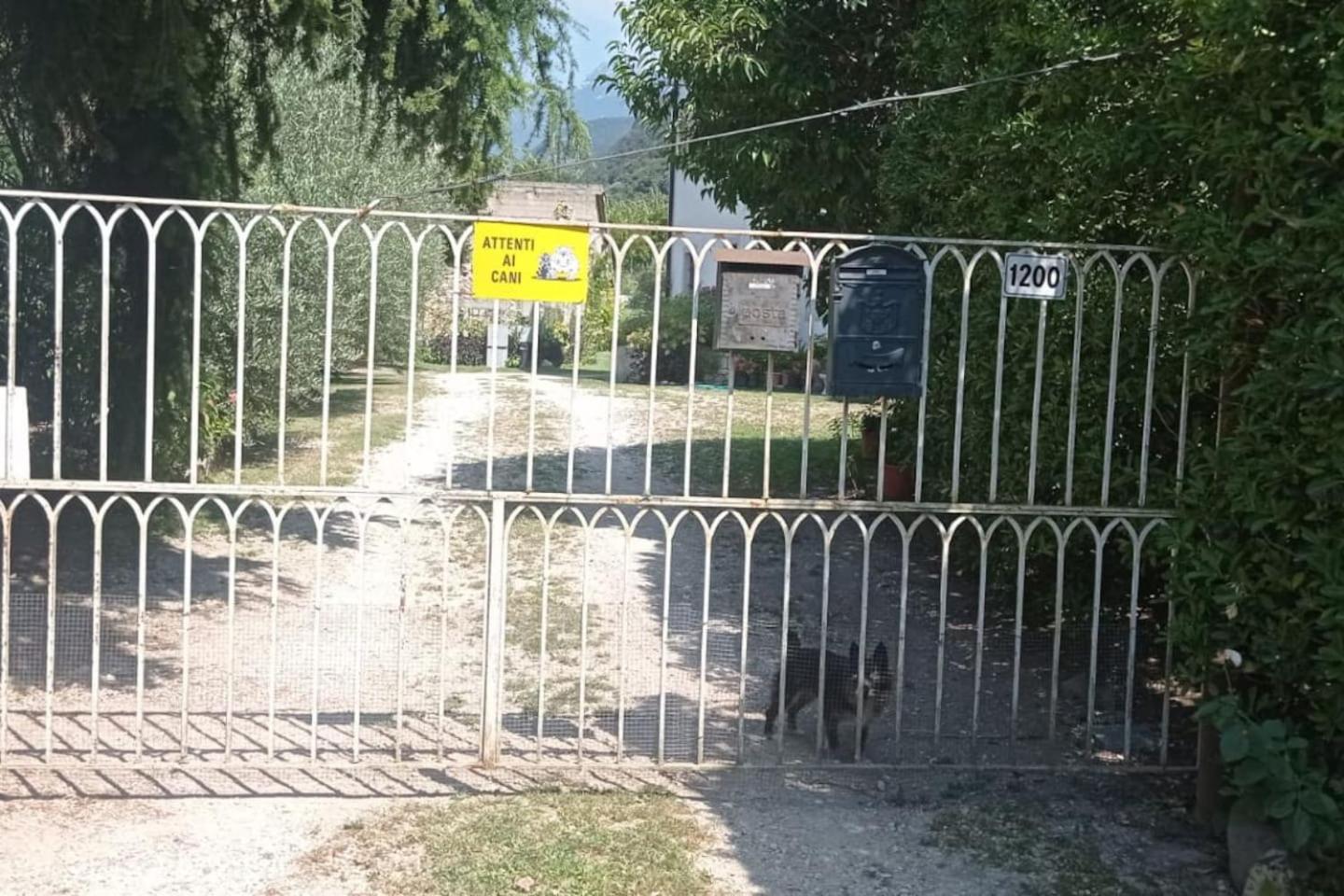 Photo 20