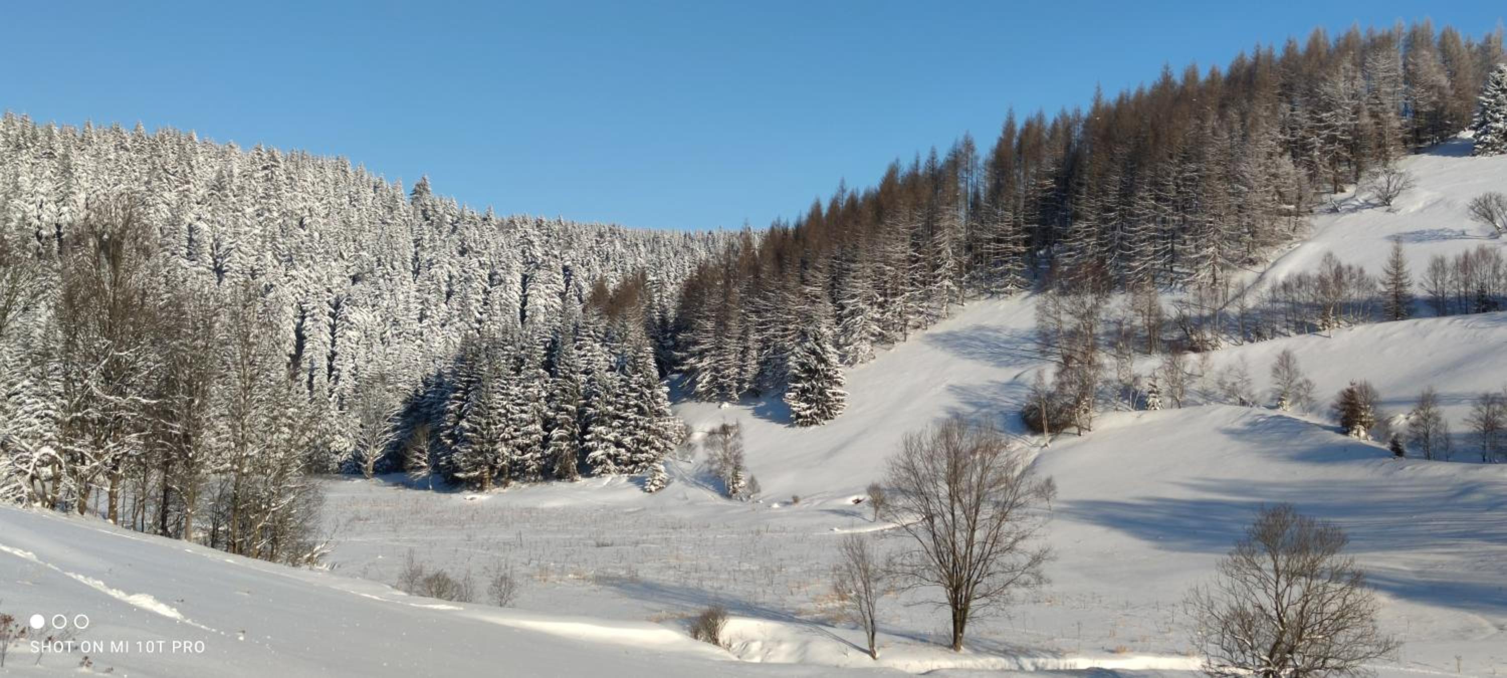 Holiday Home Moldava