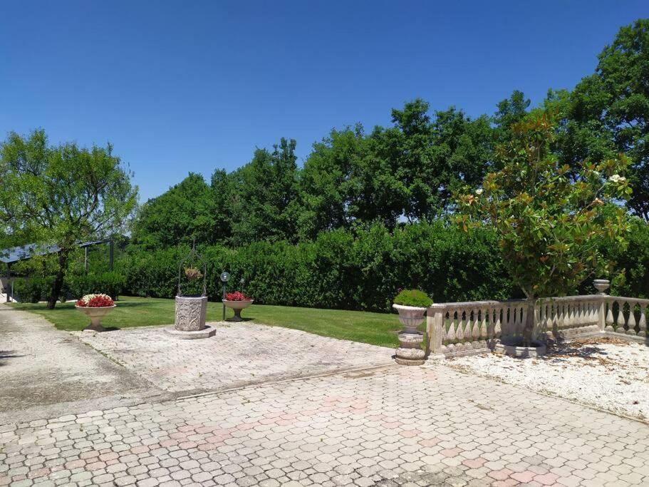 Relax in villa nella verde Tuscia view 2