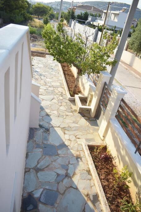 Mountain-to-Sea Oasis view 4
