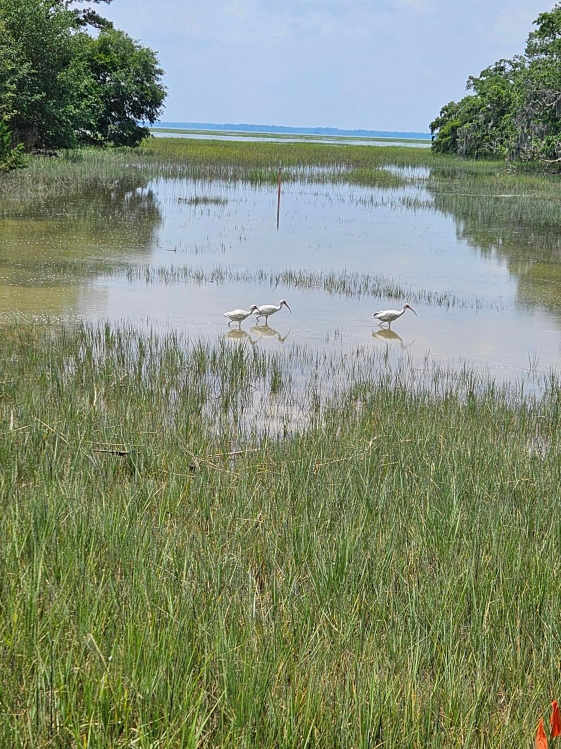 Low Country Cottage in Beautiful Habersham view 5