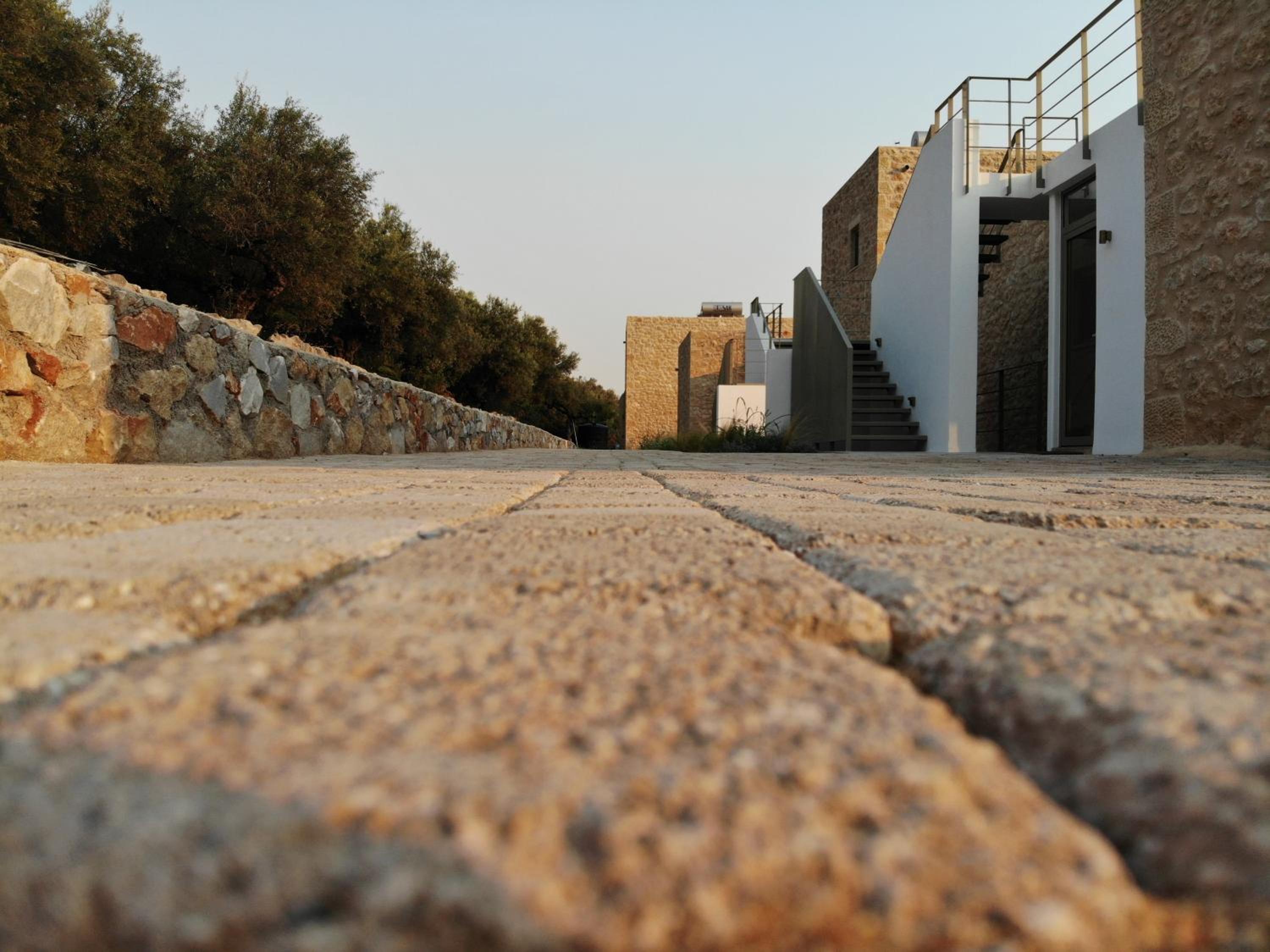 Photo 45