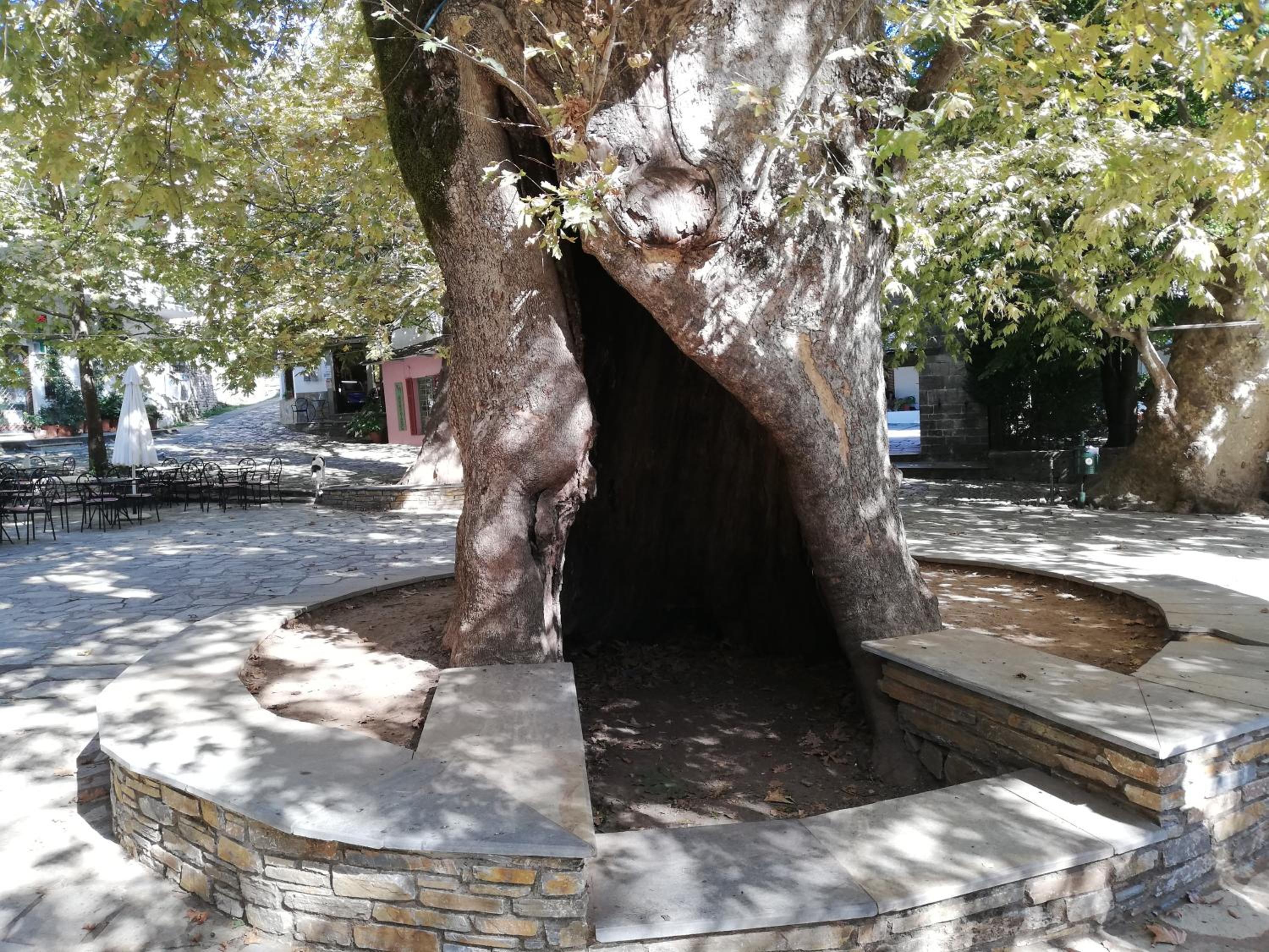 Photo 41