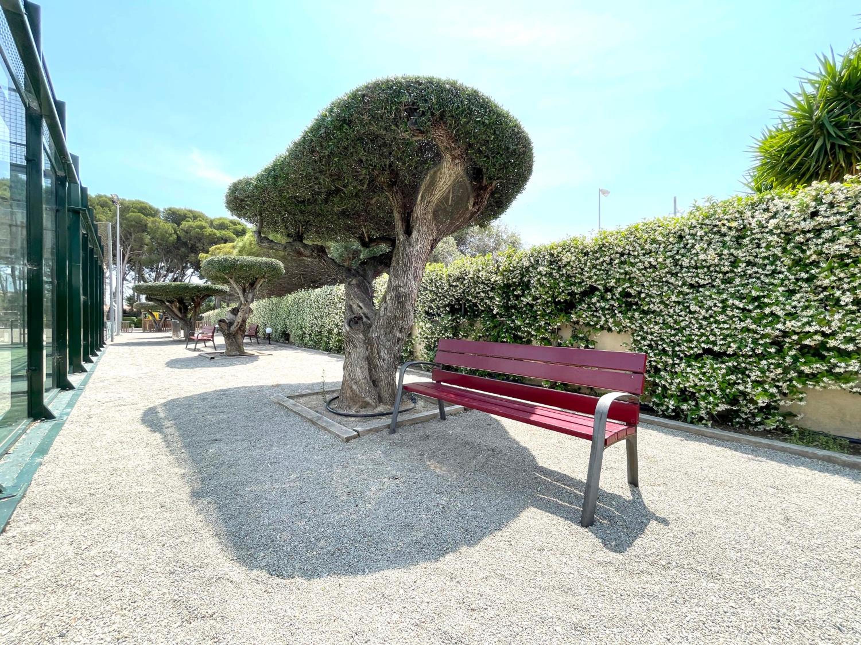 Photo 13