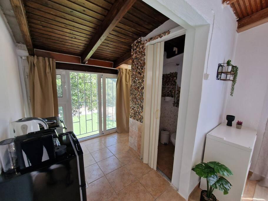 Elmy houses v3 / Clio view 4