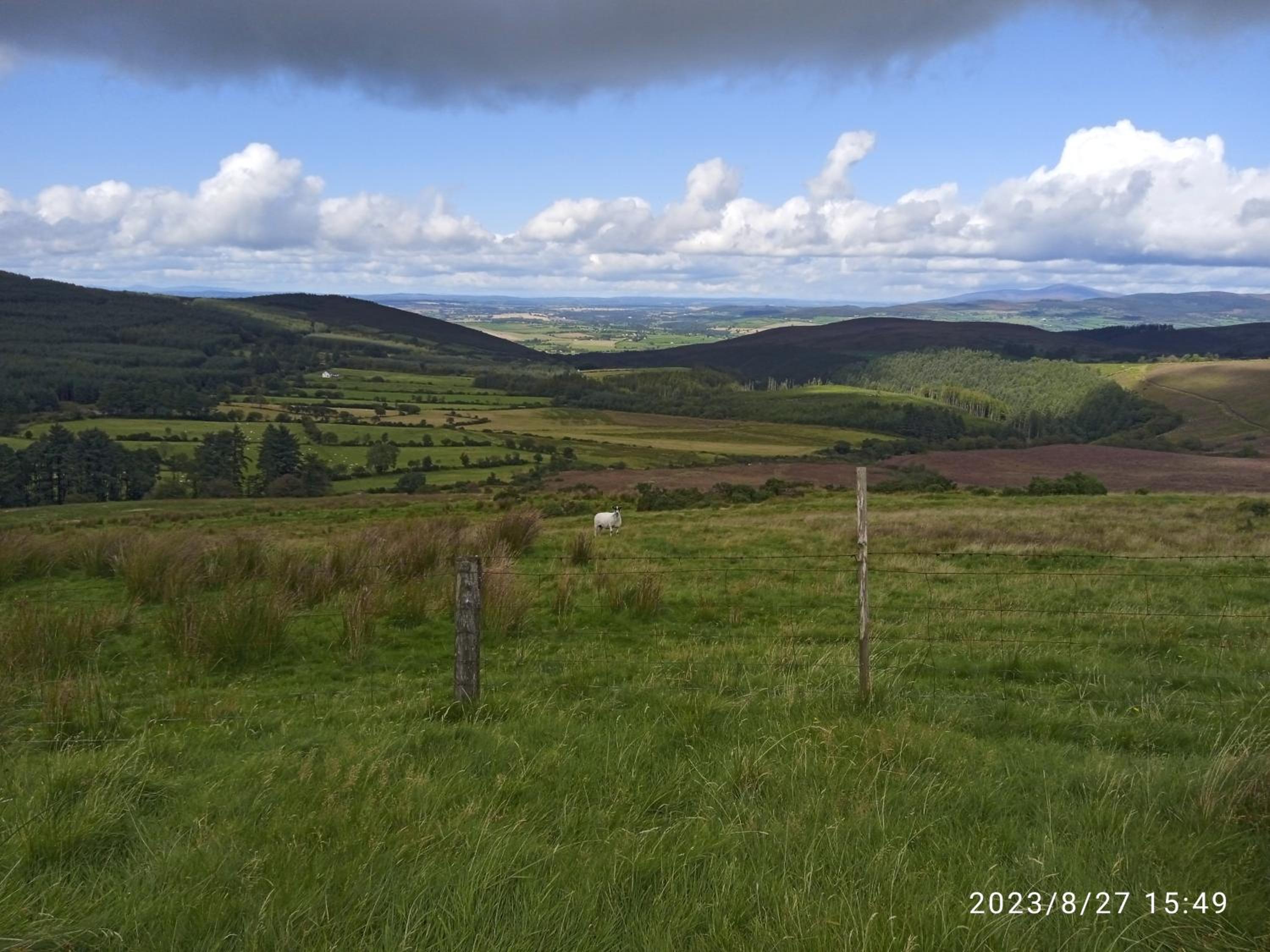 Nire Valley Cottage