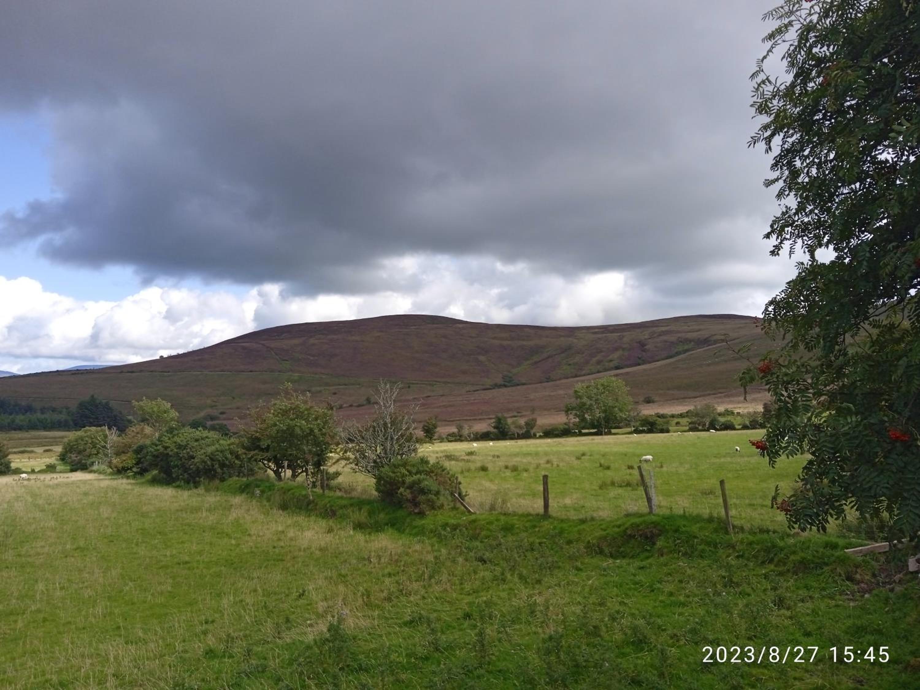 Nire Valley Cottage