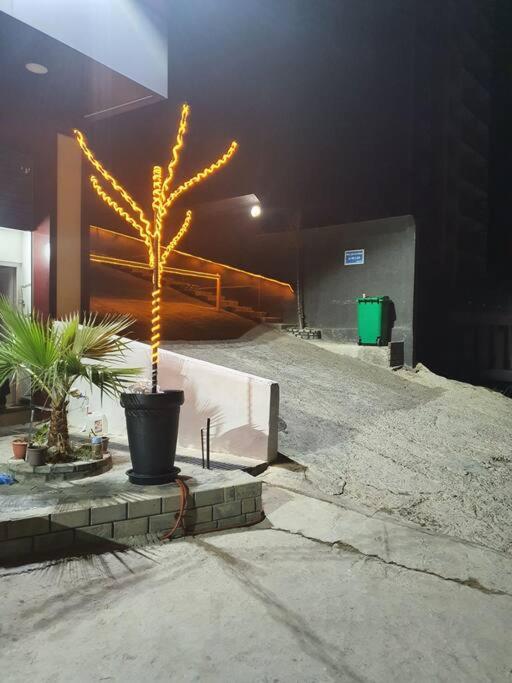 YEMMA GOURAYA LOFT