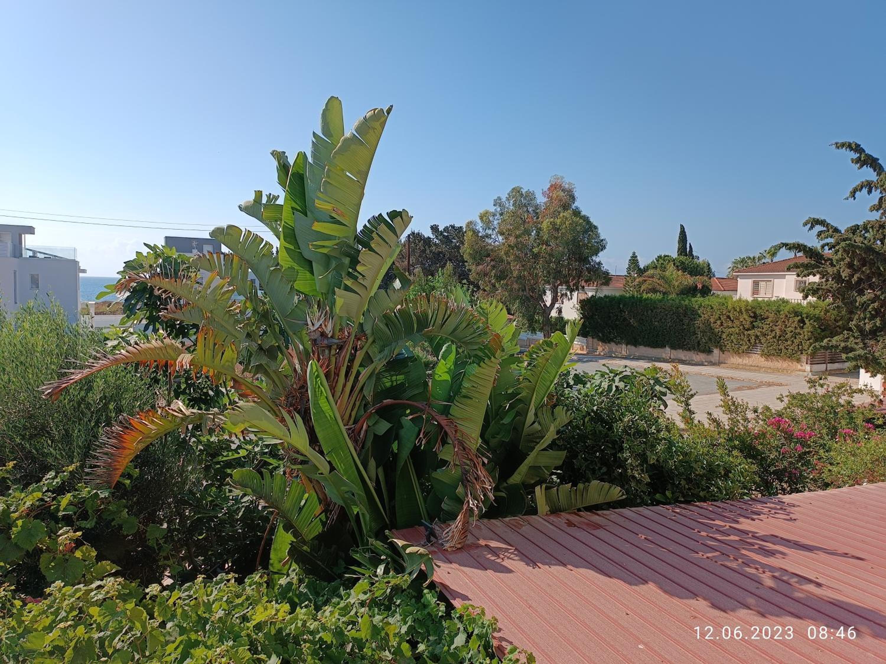 Ferienhaus_FamilyKrausz