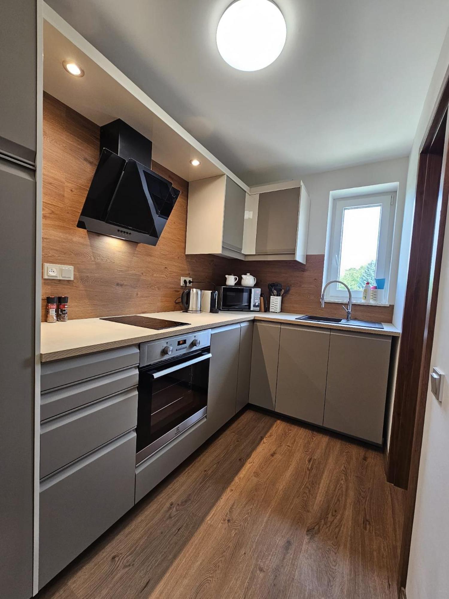 Apartmán U Labe view 2