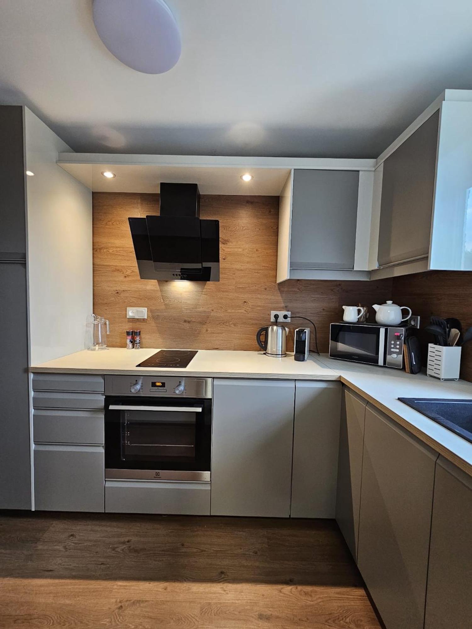 Apartmán U Labe view 4