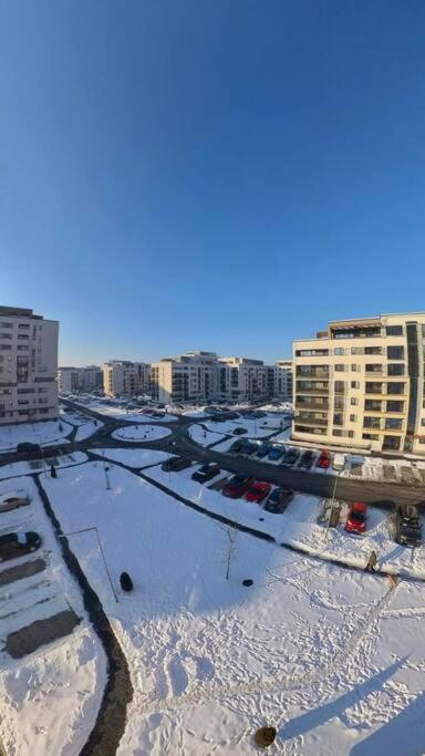 The Grey Flat