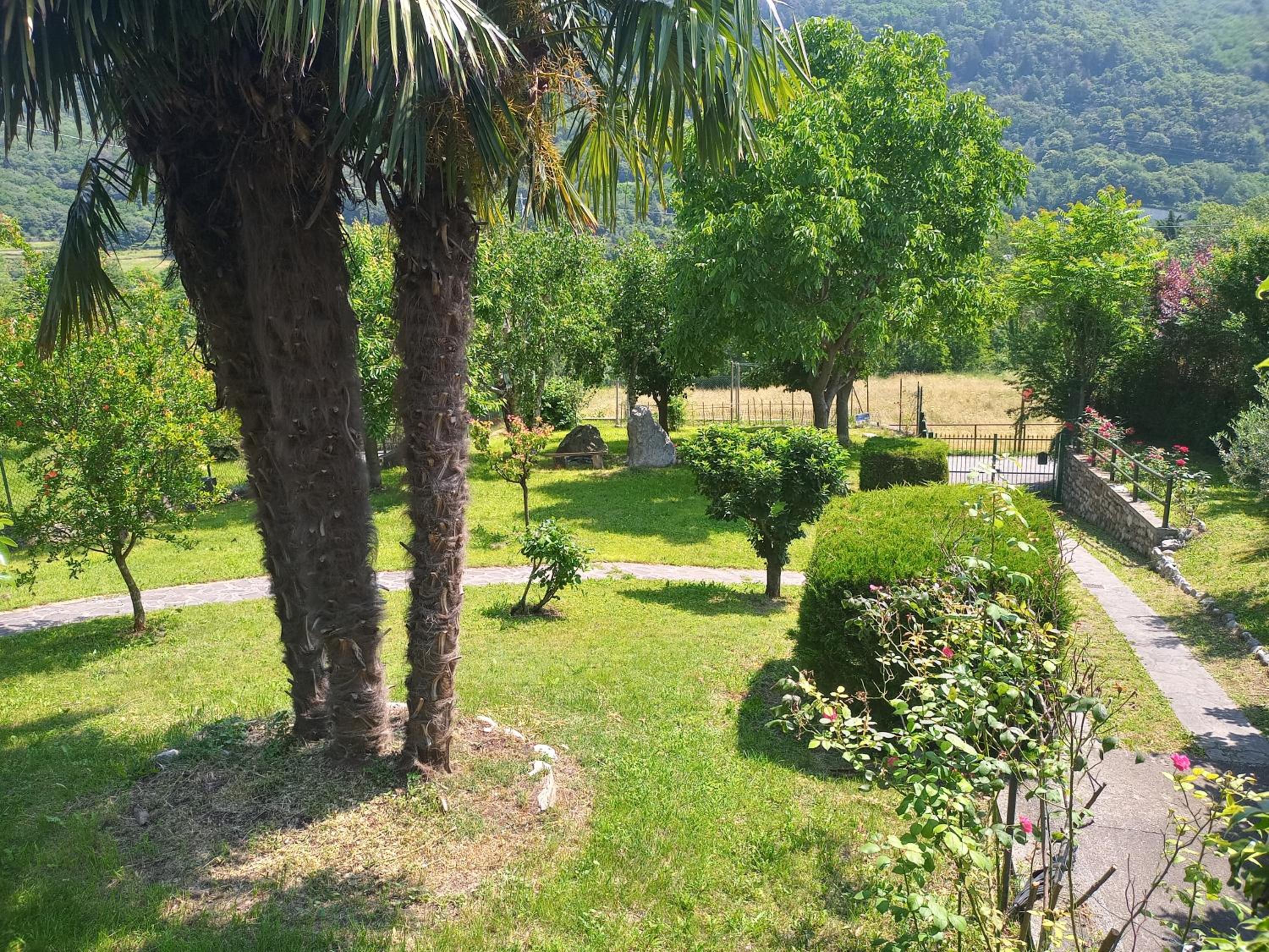 Camotta