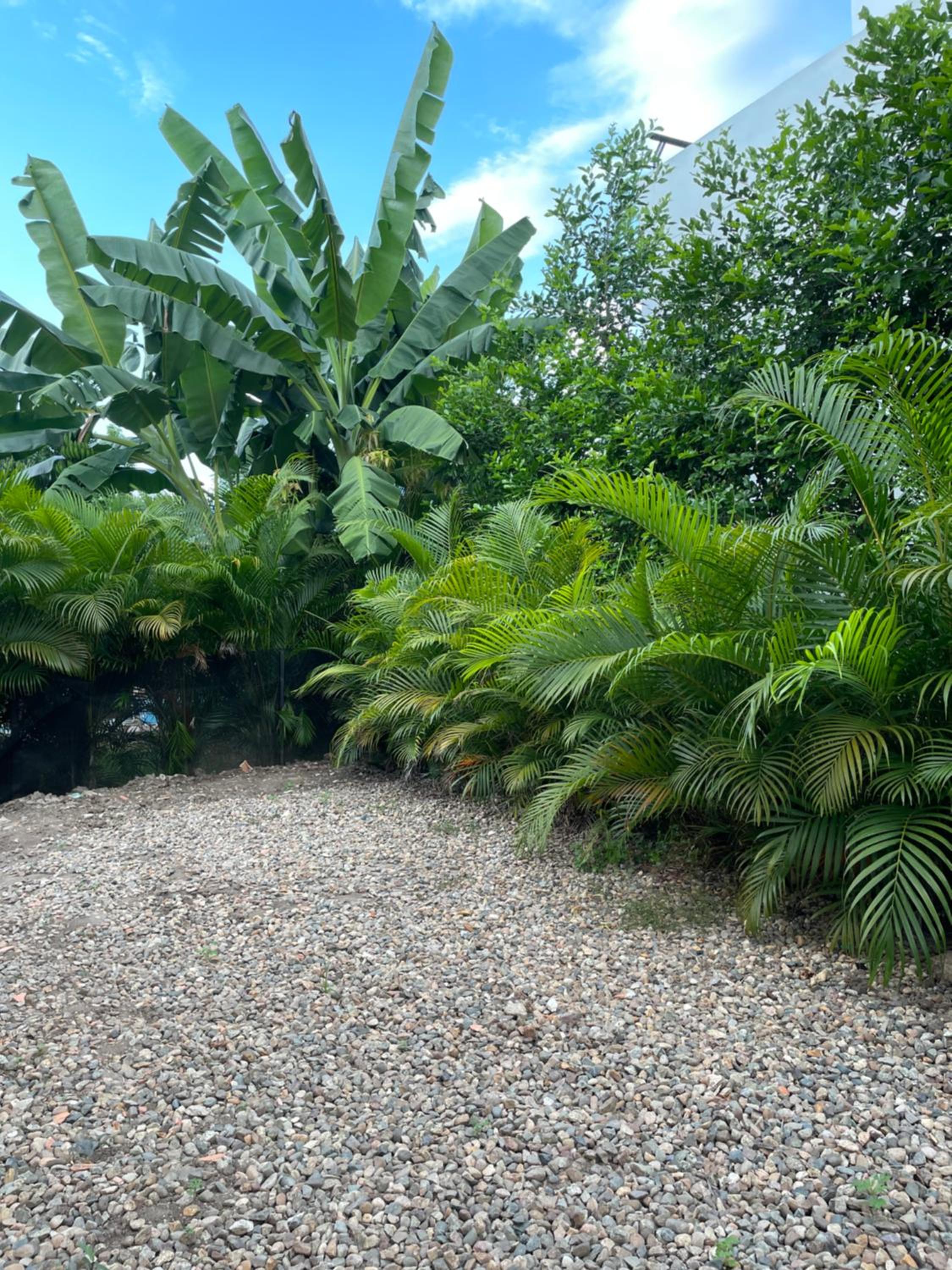 Casa Indica Colombia