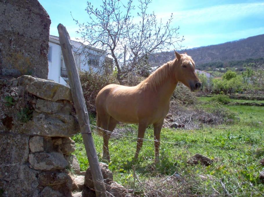 Casa Rural Cristina I