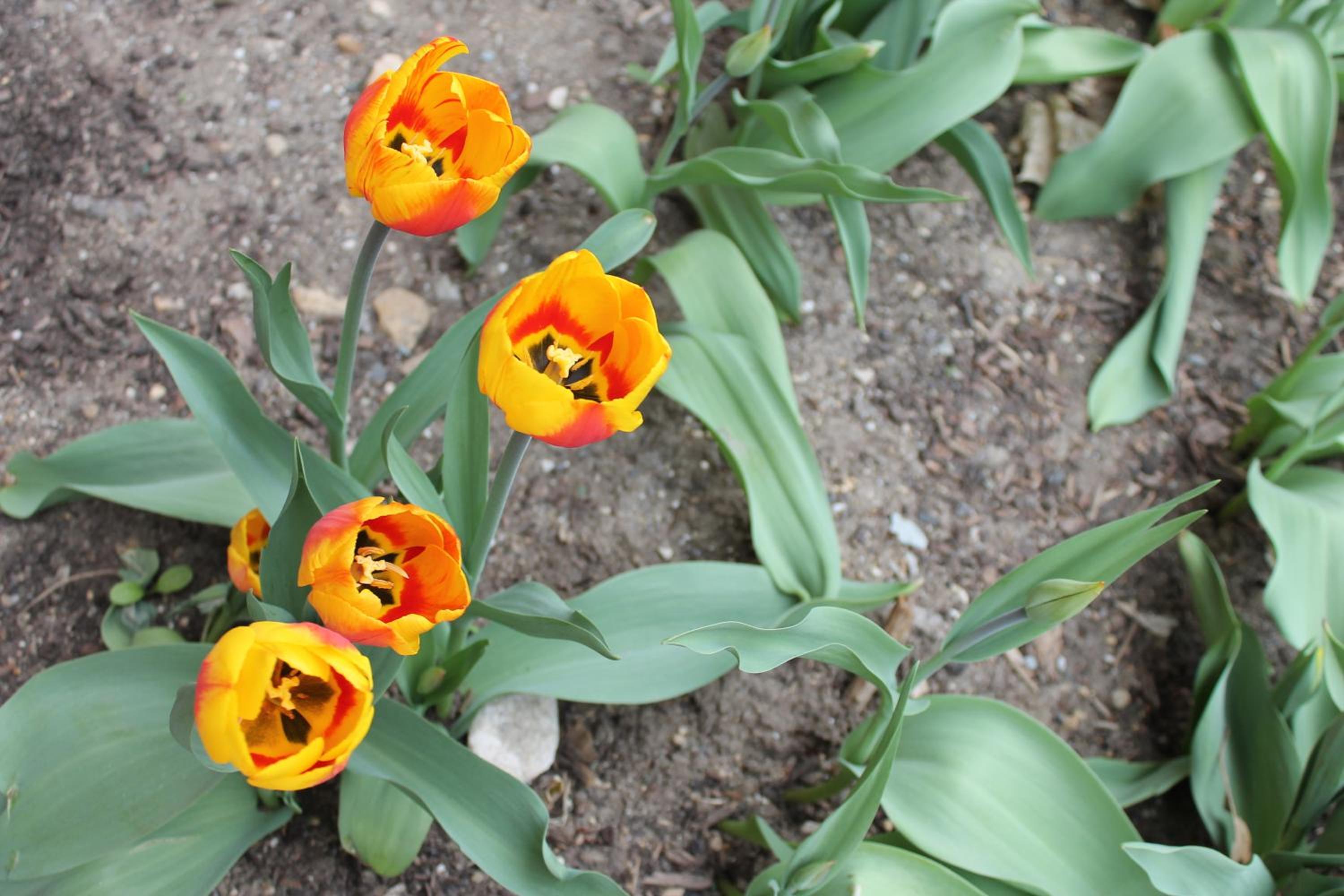 Photo 27
