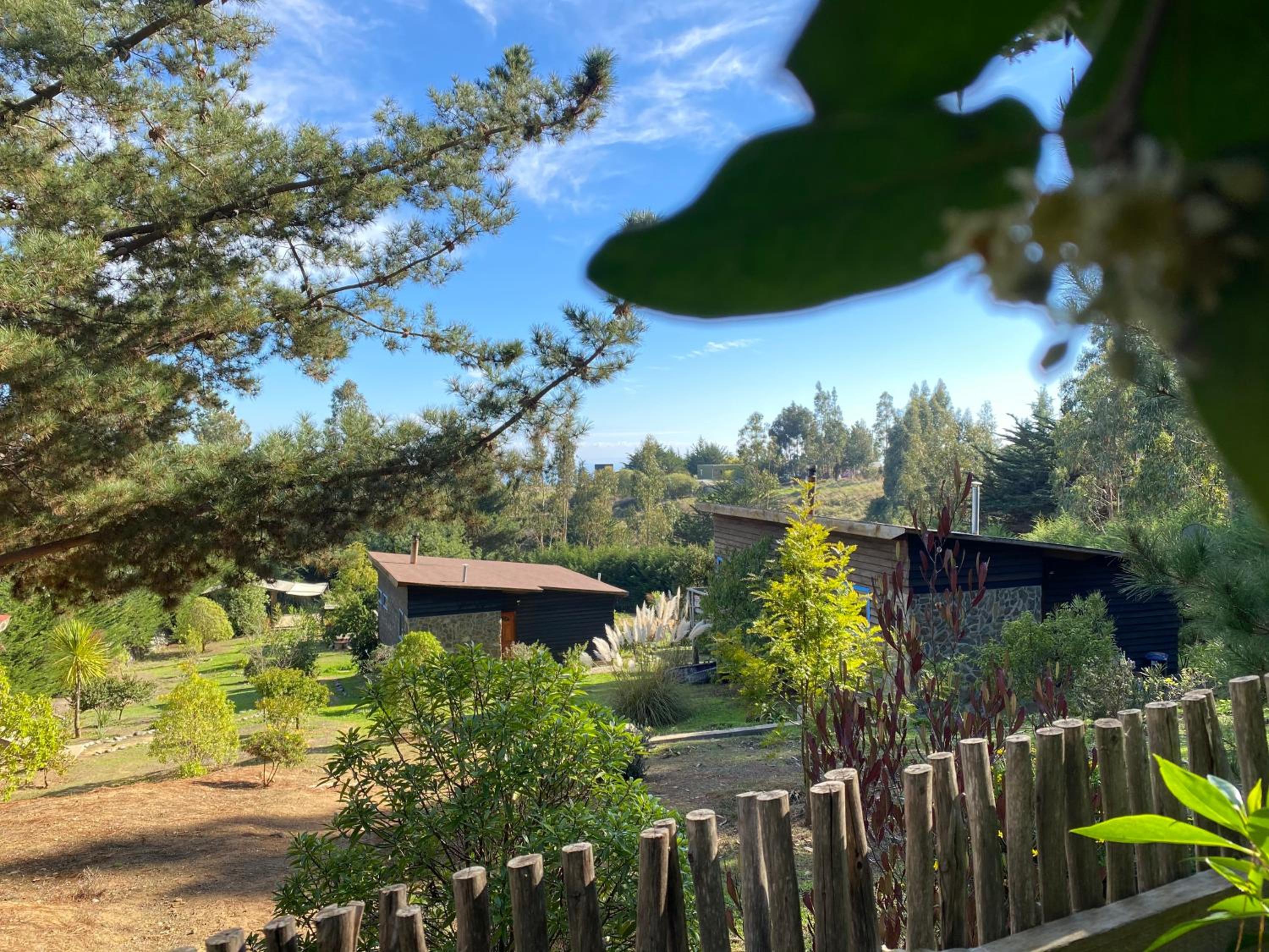 Cabañas Bosques de Puertecillo