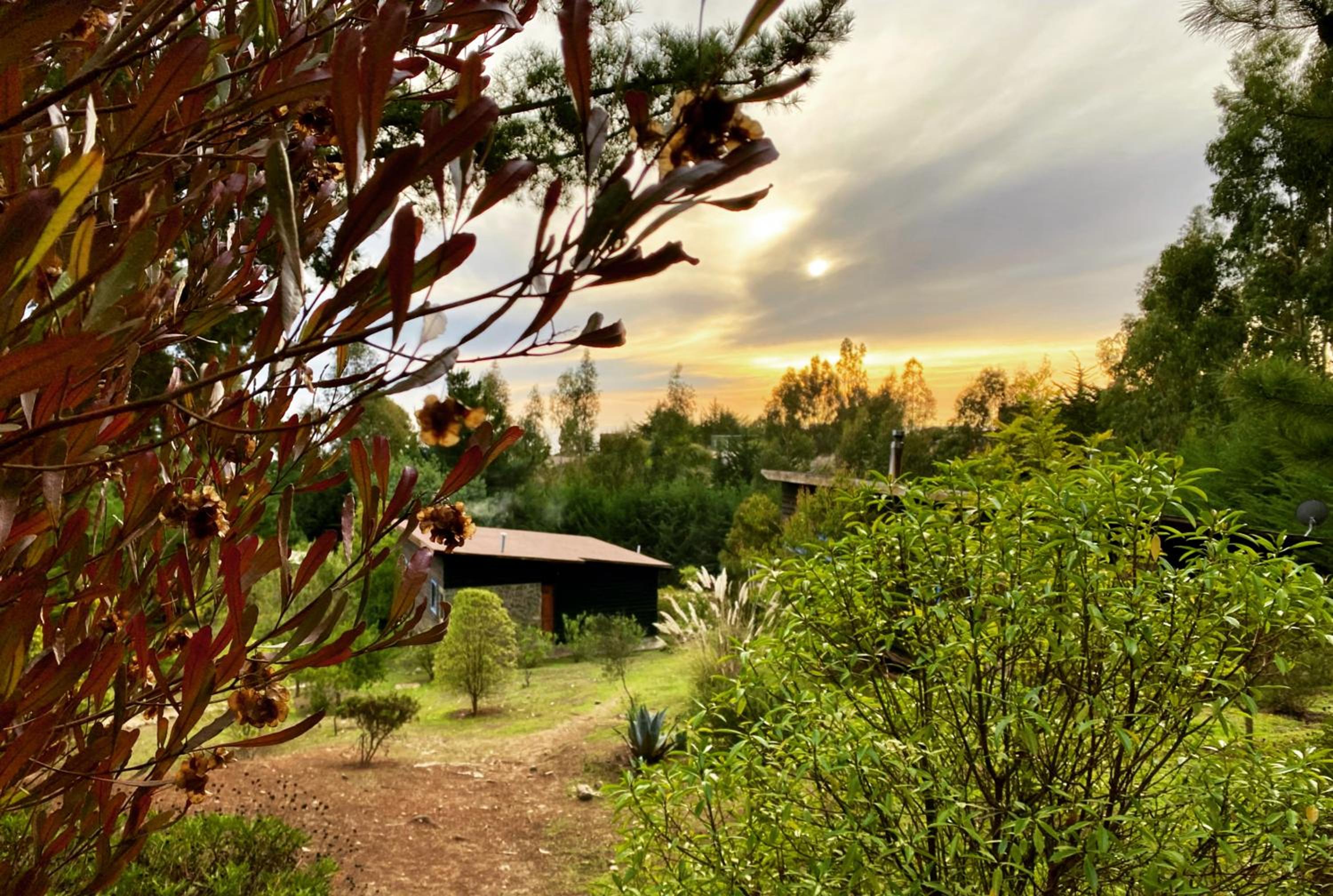 Cabañas Bosques de Puertecillo