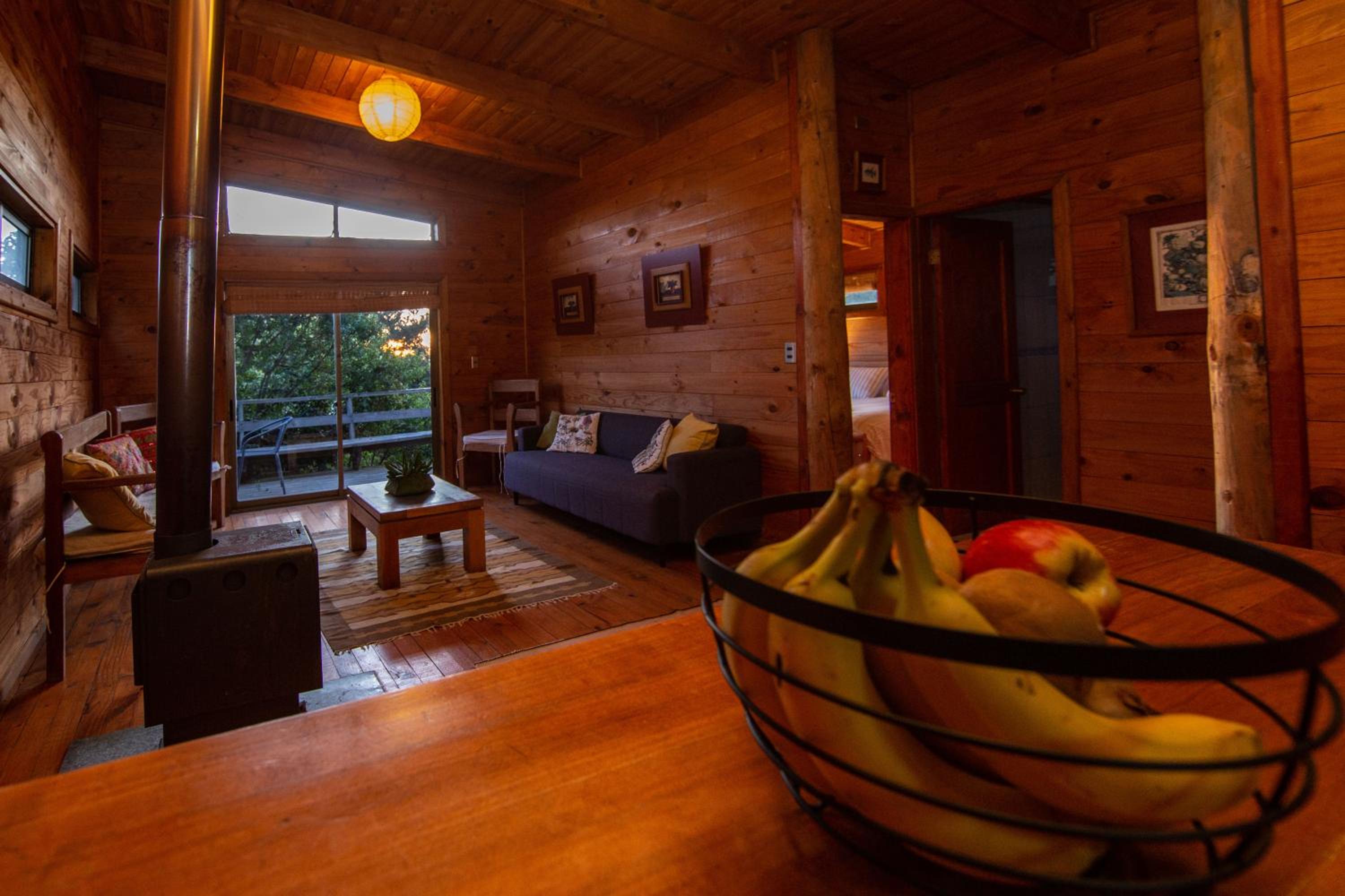 Cabañas Bosques de Puertecillo