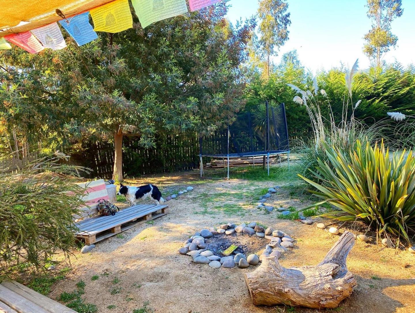 Cabañas Bosques de Puertecillo
