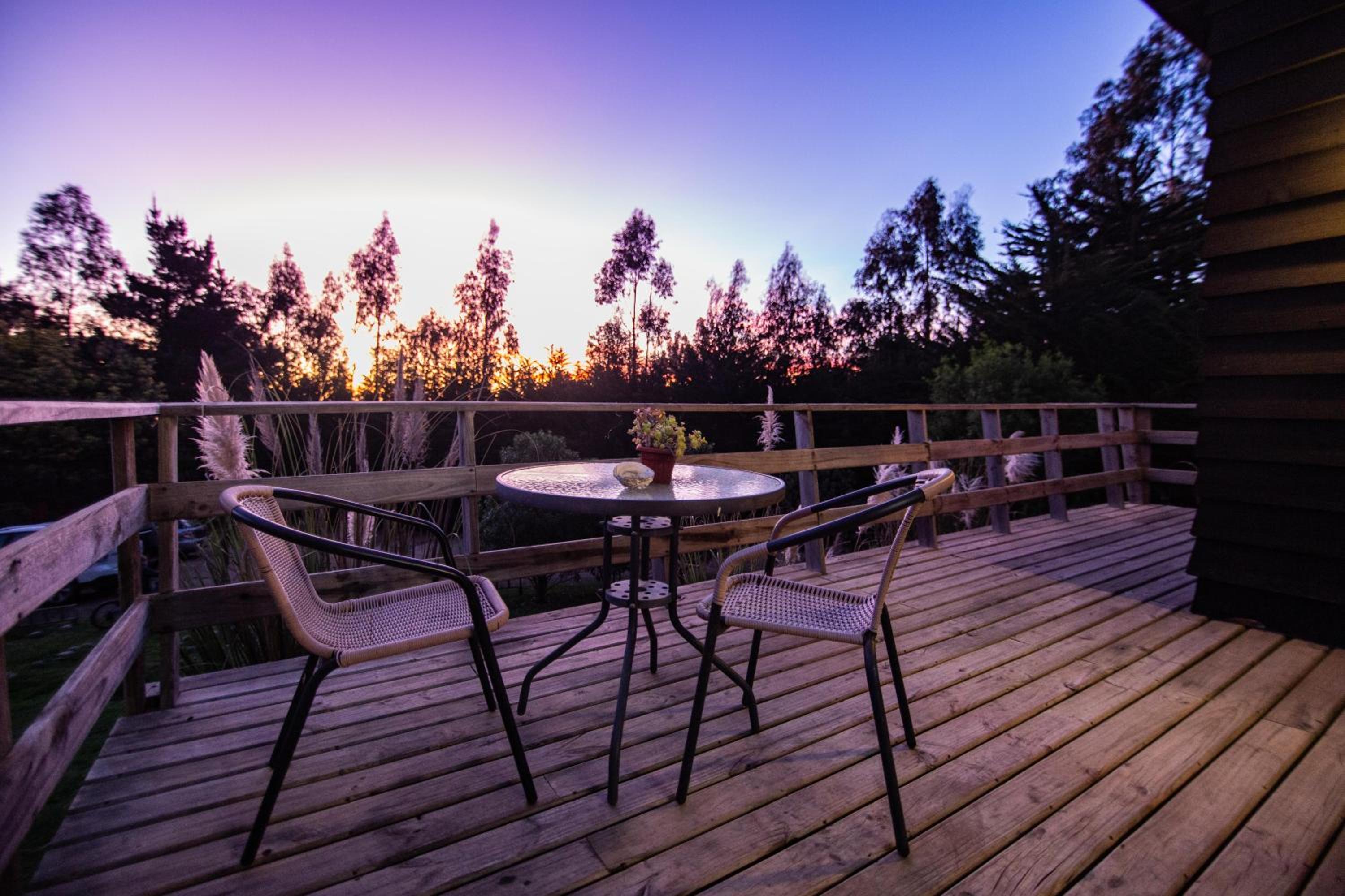 Cabañas Bosques de Puertecillo