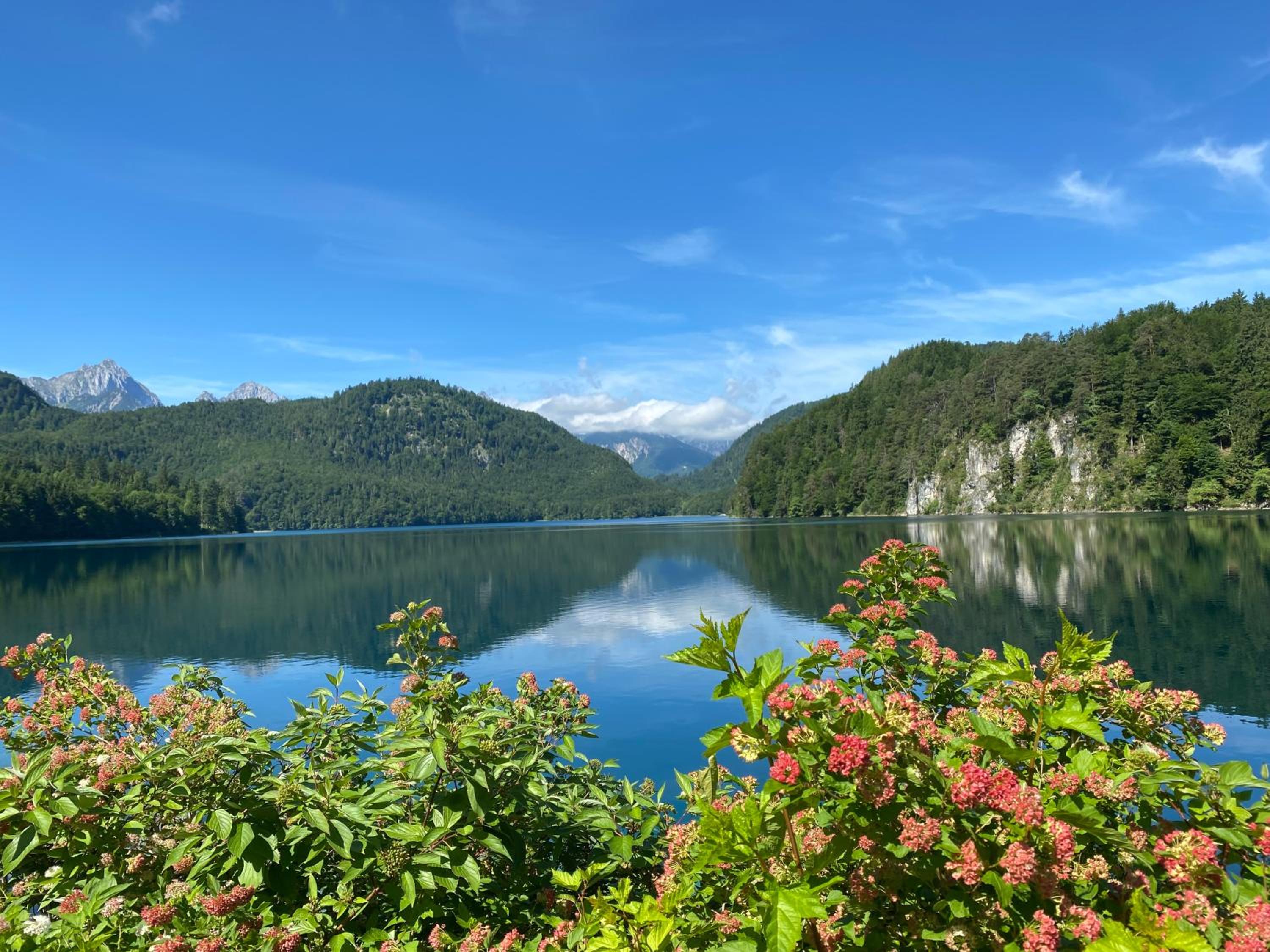 Villa Herzland Allgäu mit großem Garten und gemütlichem Kaminfeuer inklusive KÖNIGSCARD, Skipass, Bergbahn, Therme inkl