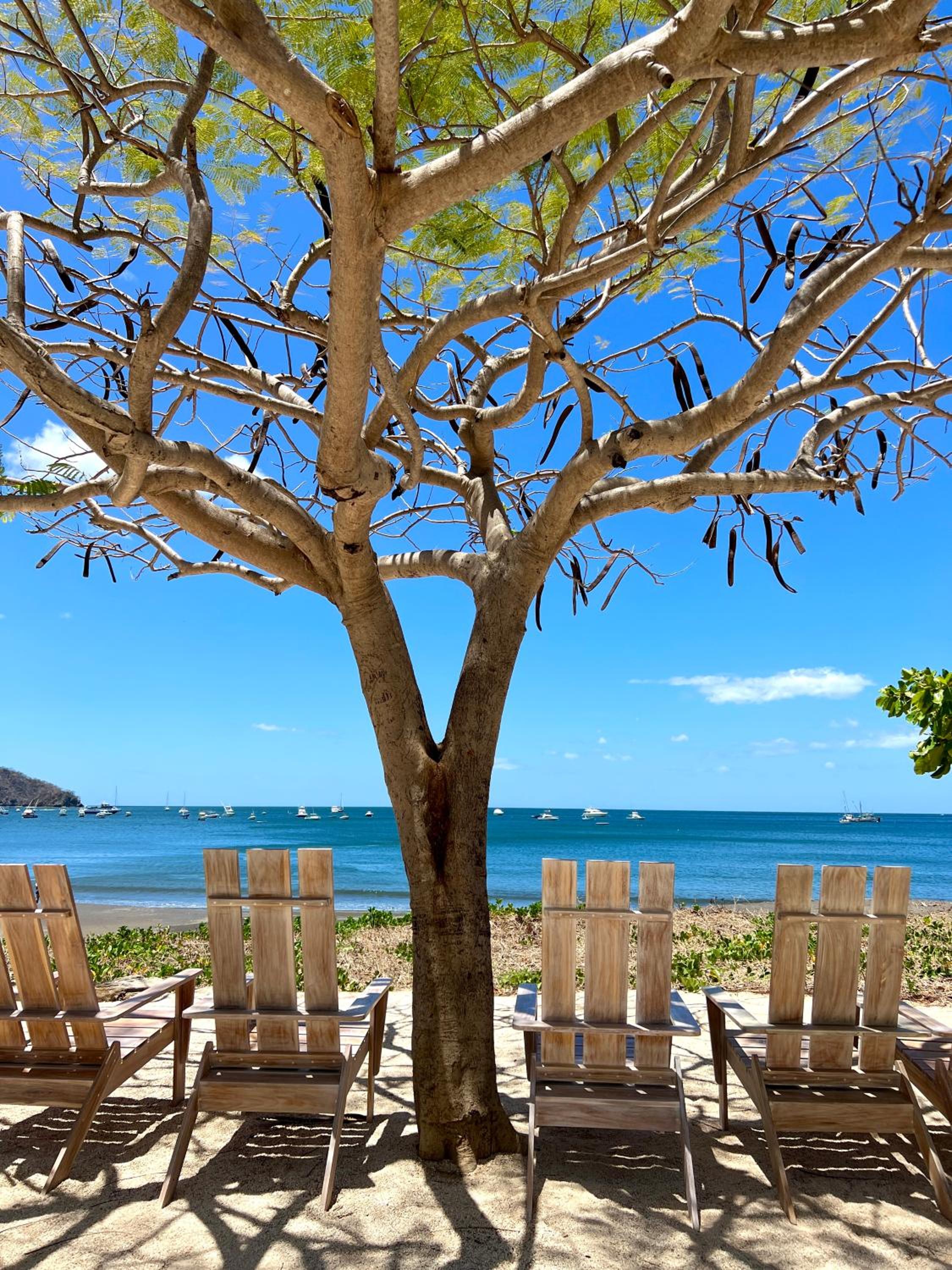 Charming condo with a rooftop, across beach