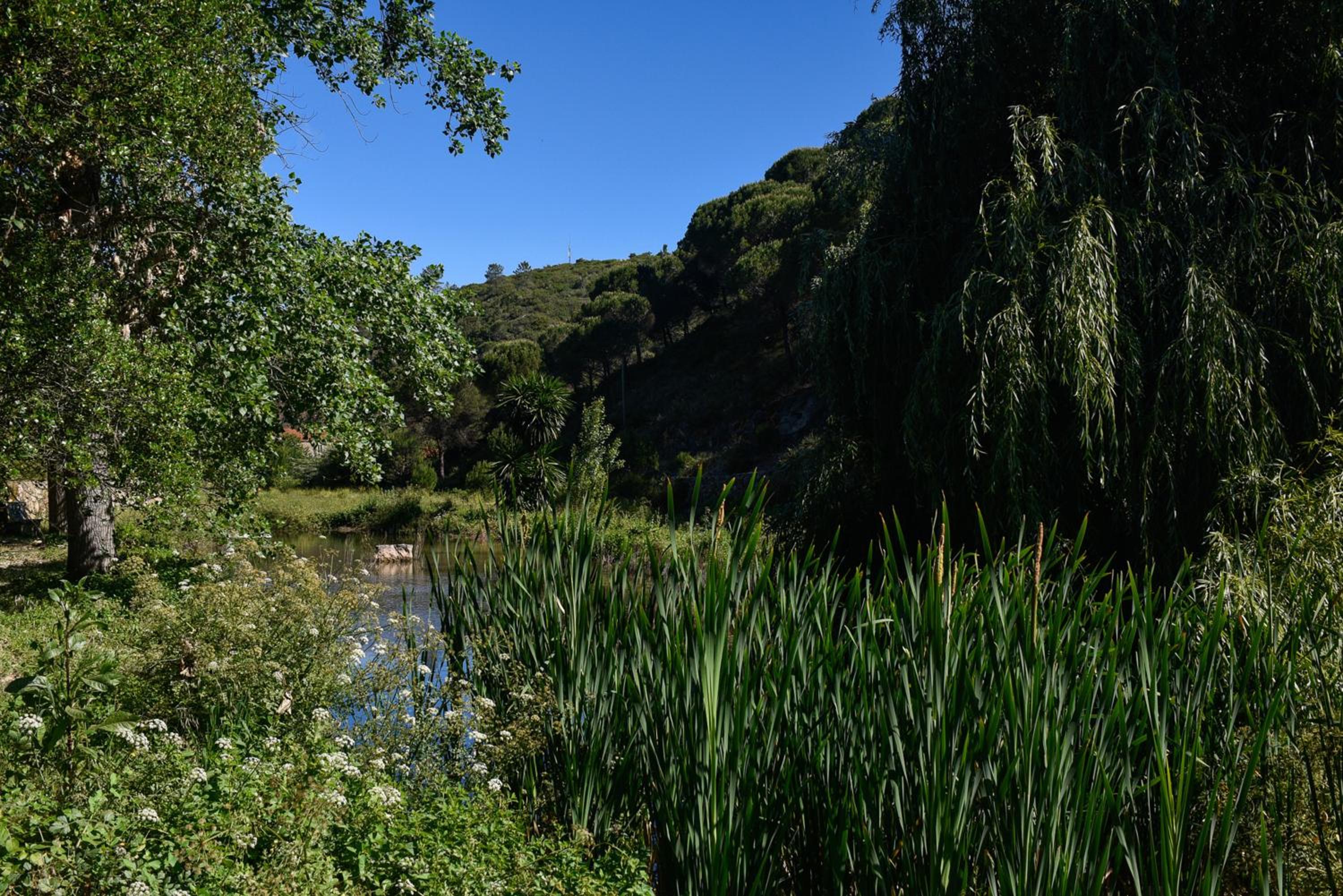 Quinta de Rio Alcaide