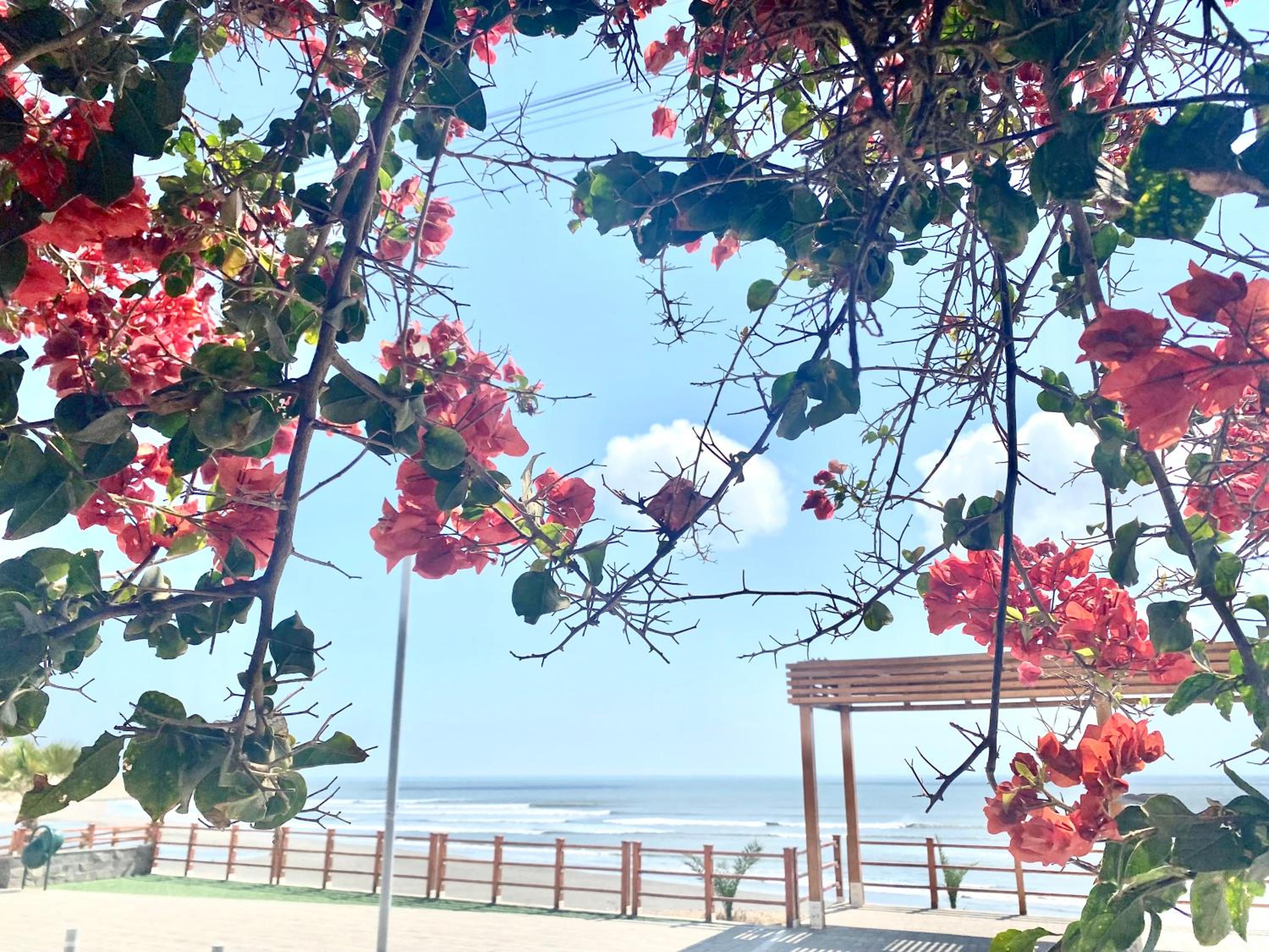 other