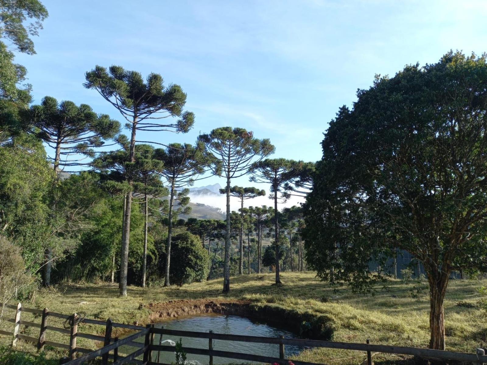 Chalé Sementes de Fé terras altas Nogueira