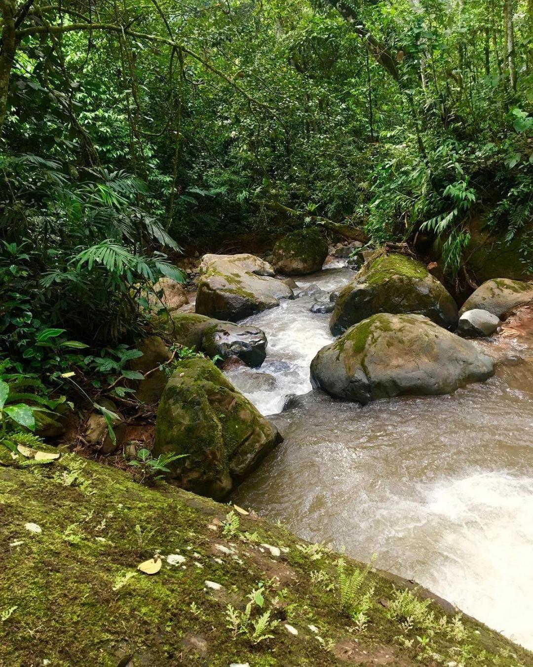 Montaña Verde