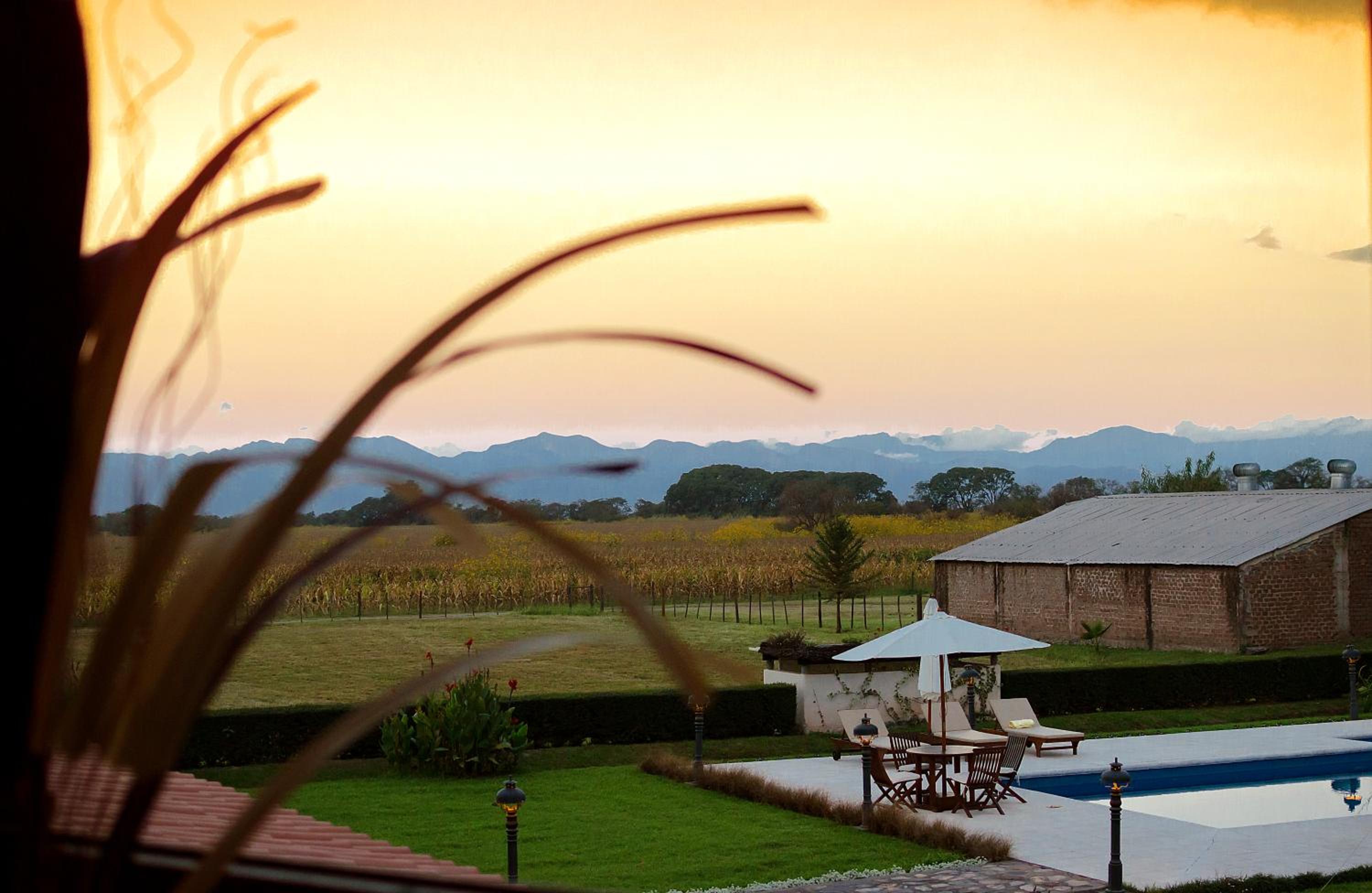 Finca Las Margaritas