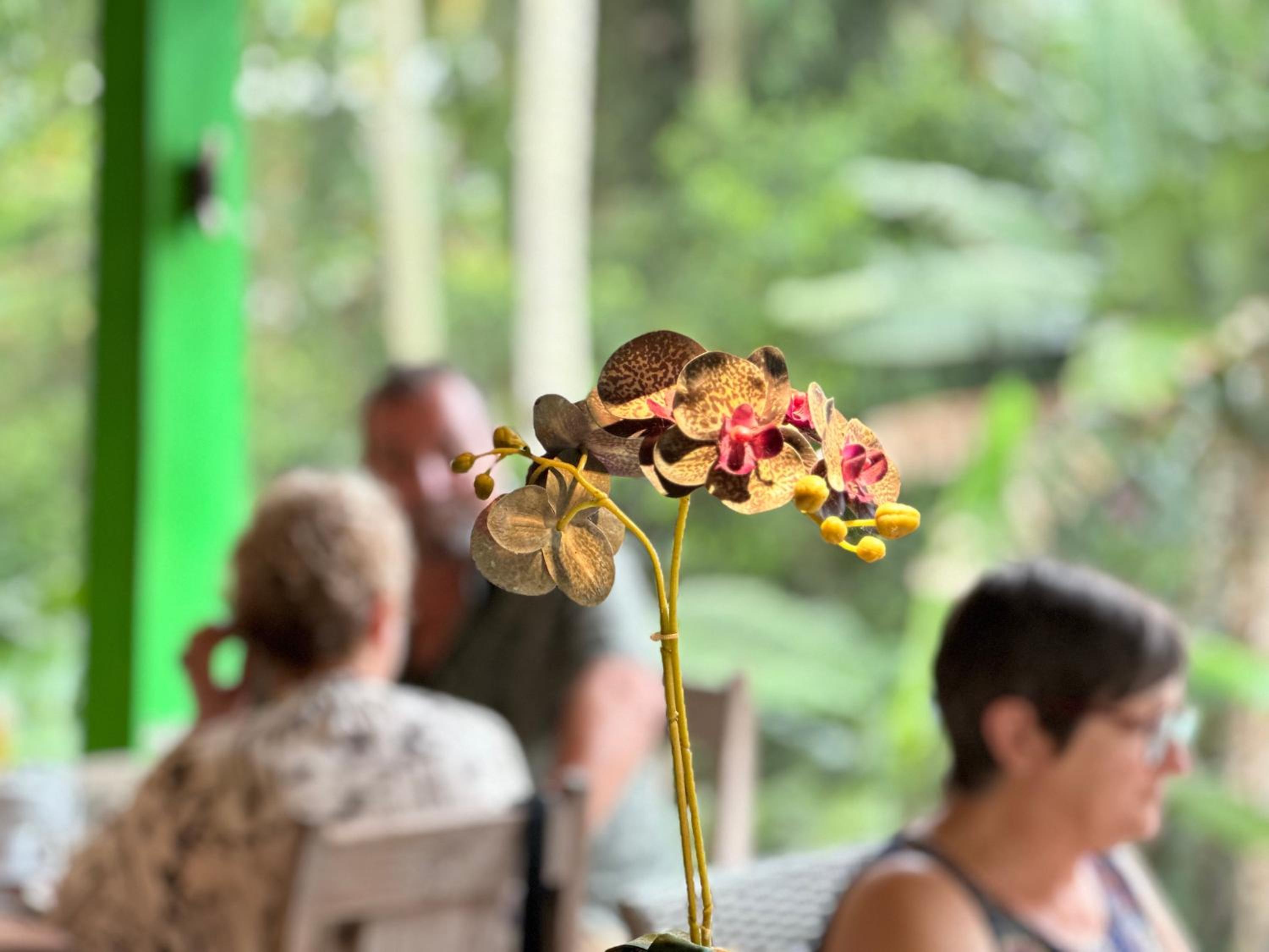 Dupa Ubud
