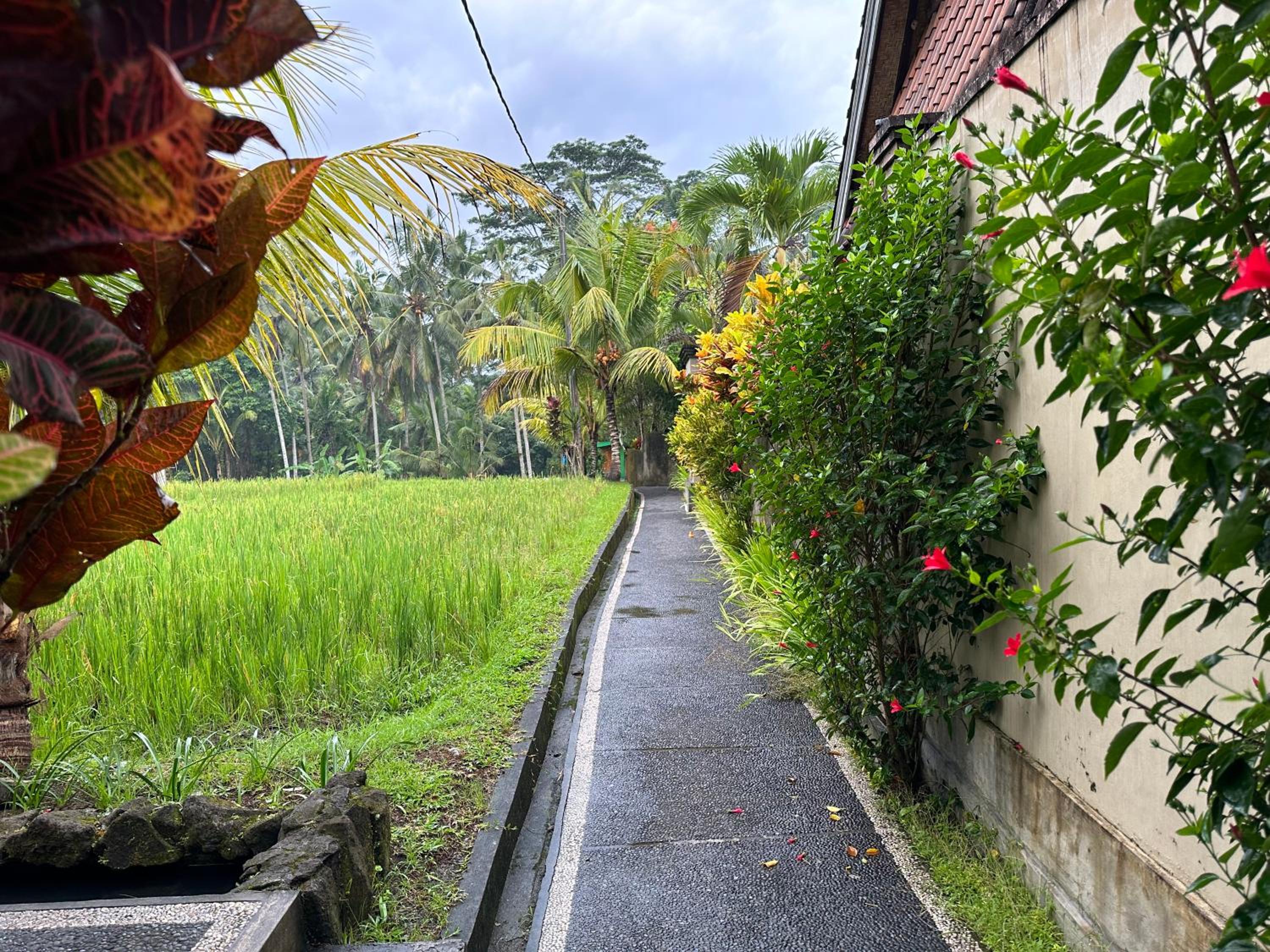 Dupa Ubud