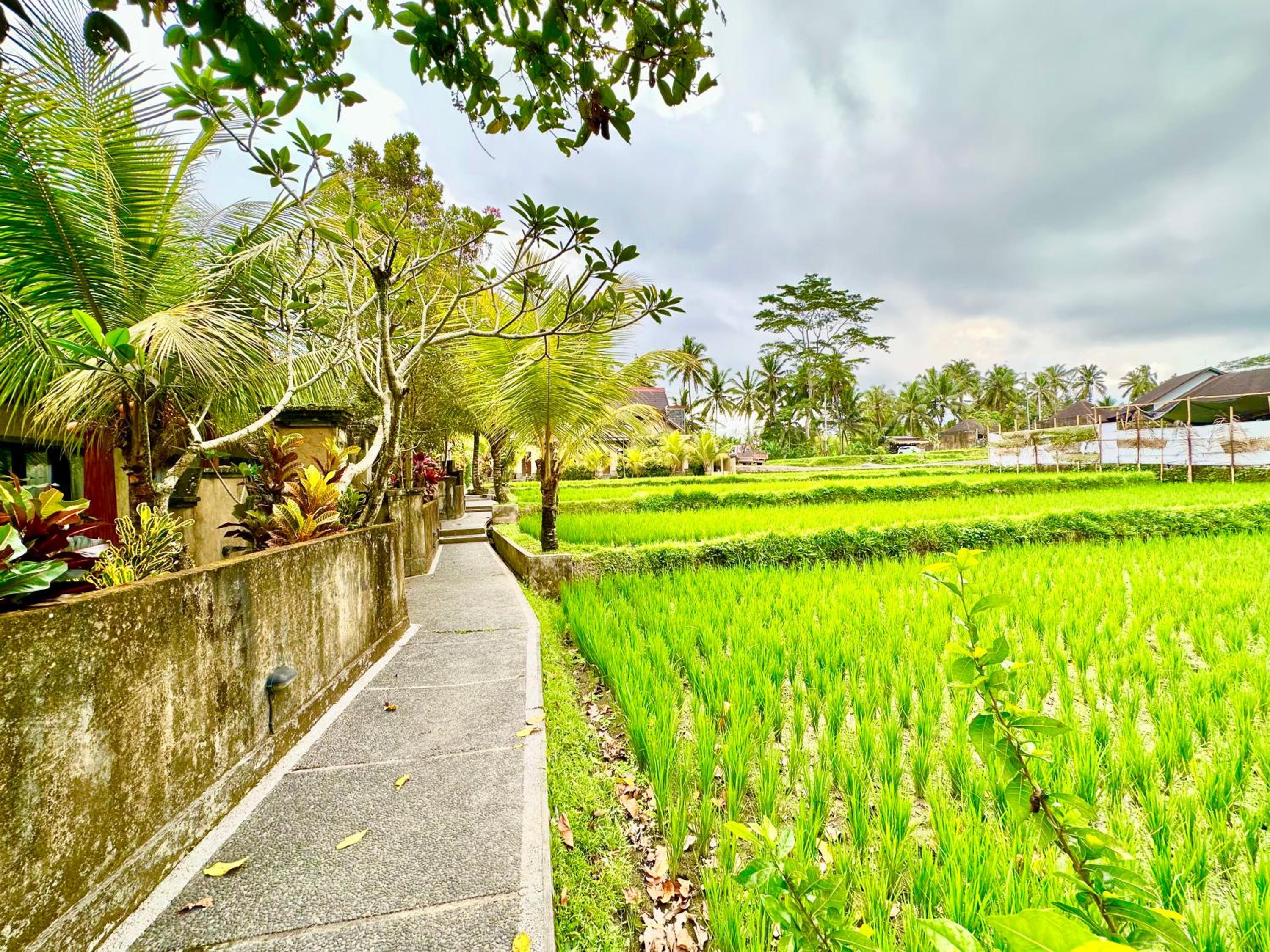 Dupa Ubud