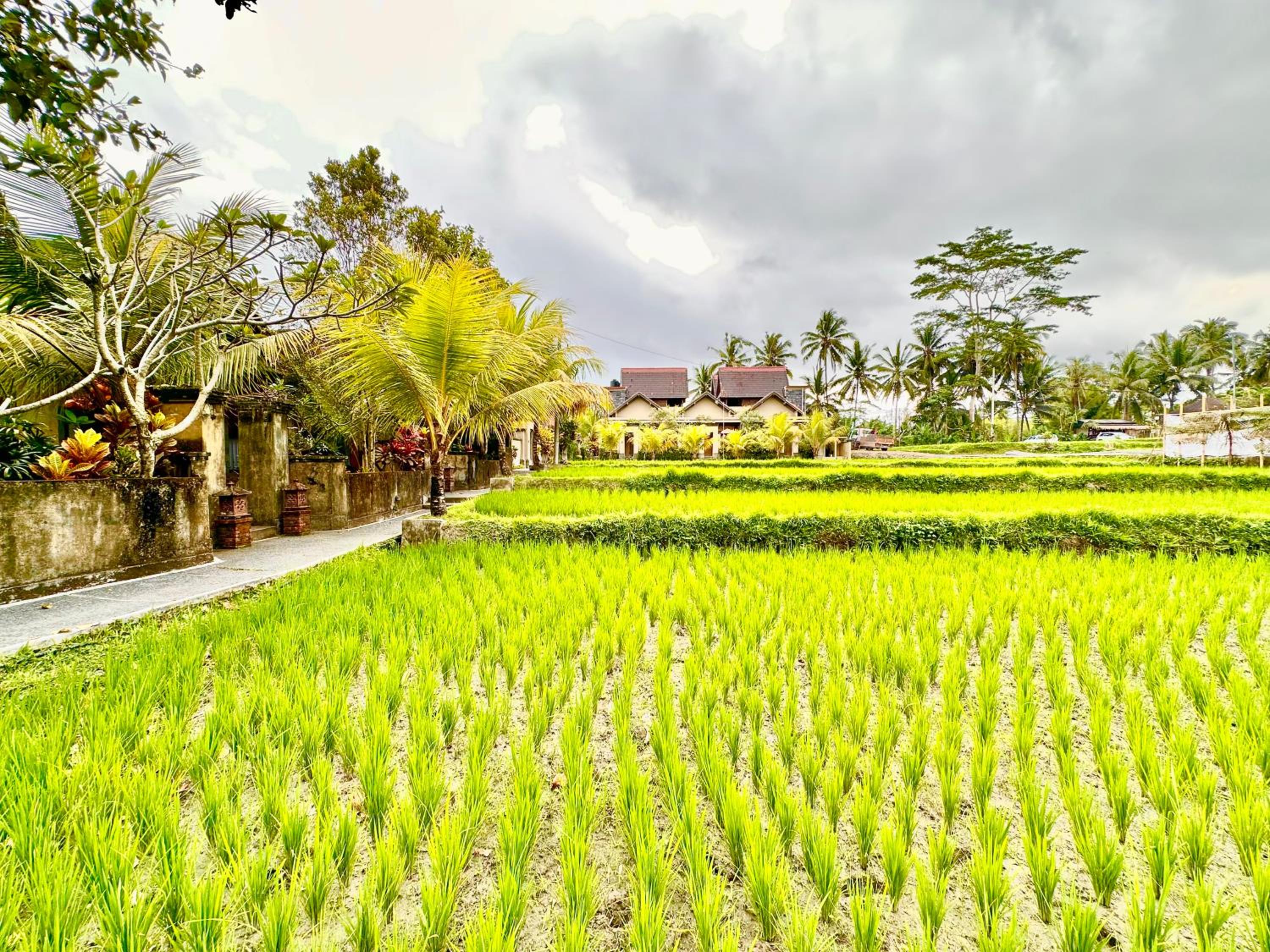 Dupa Ubud