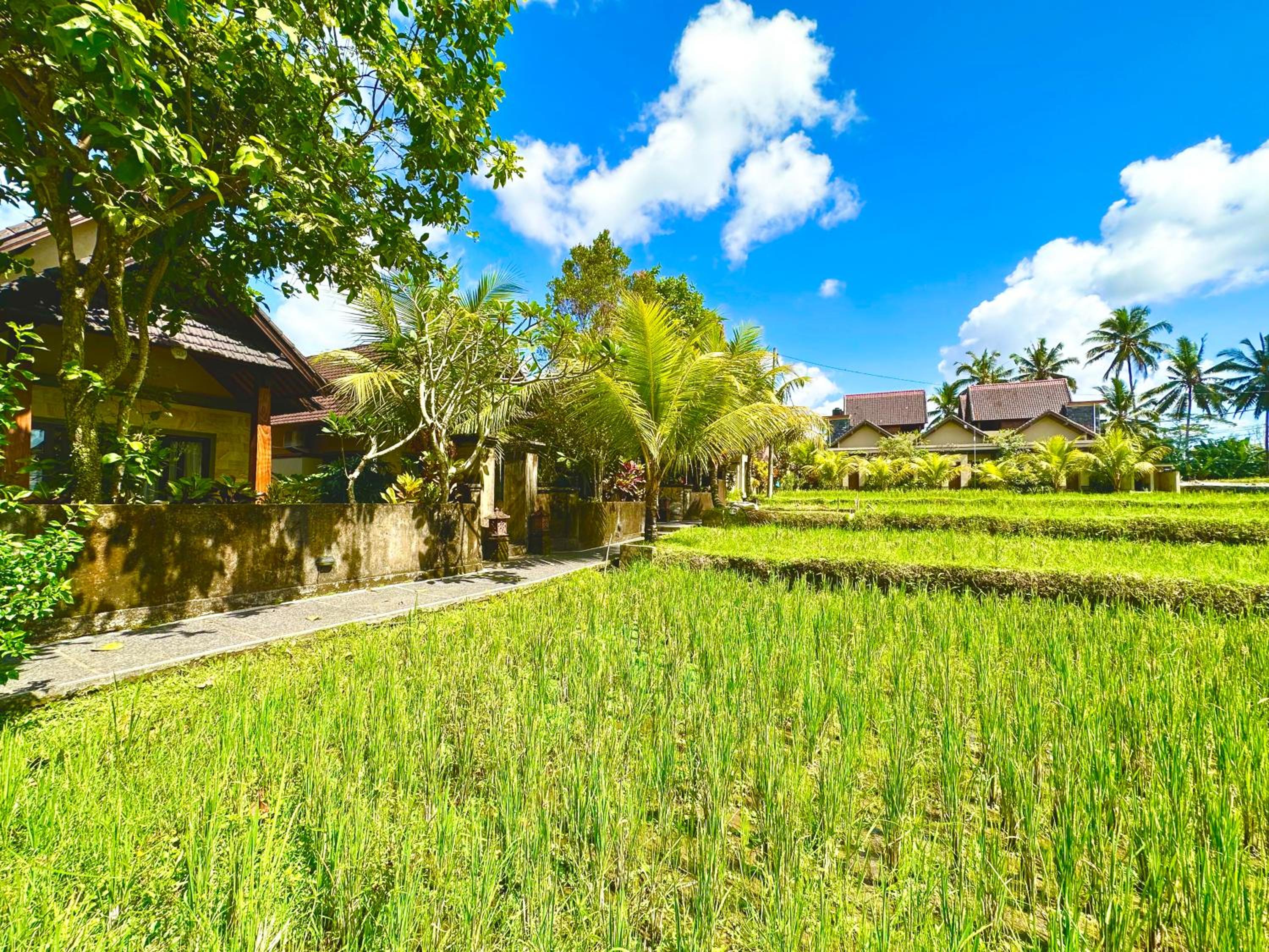 Dupa Ubud