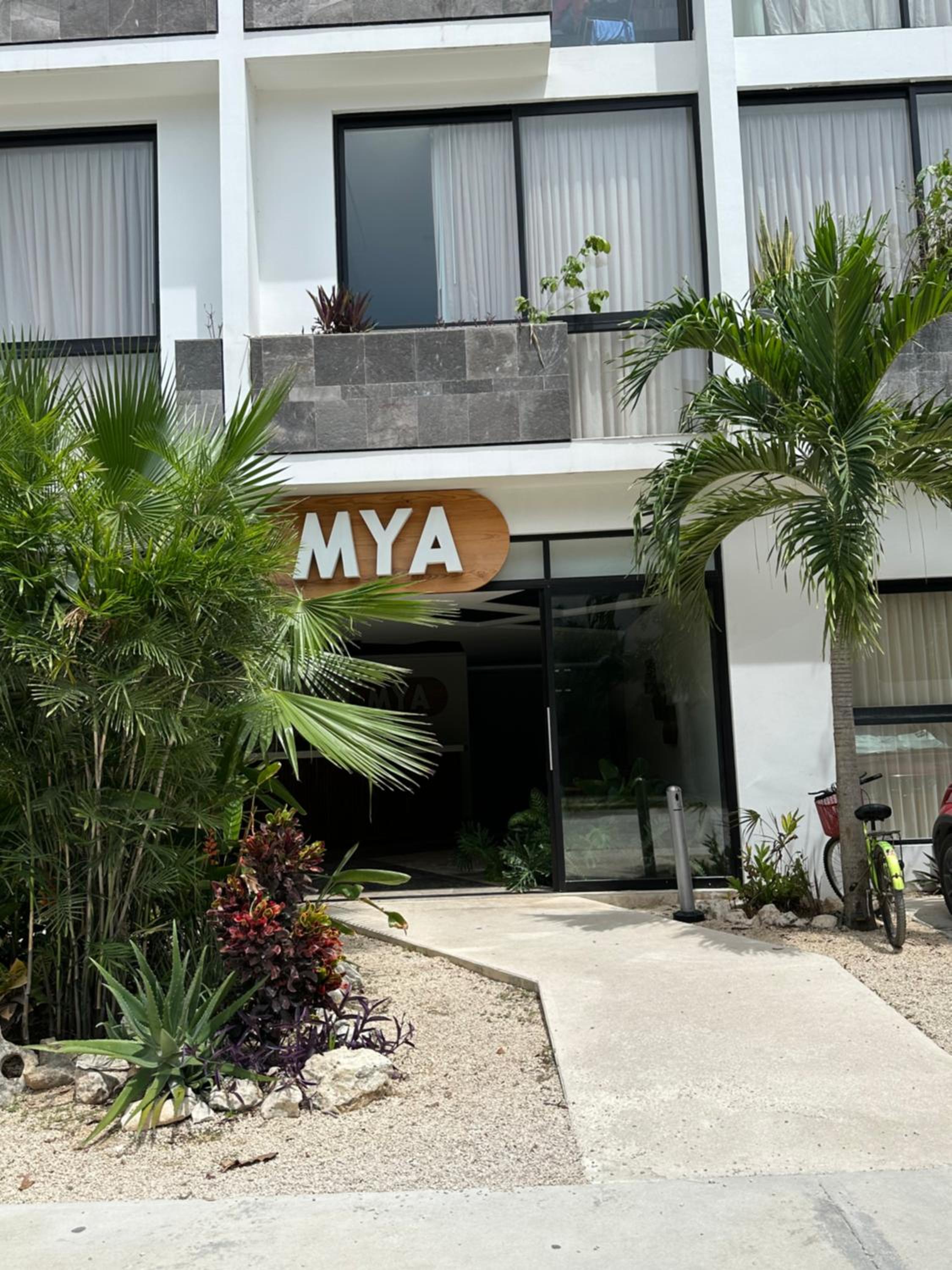 Hotel Moderno y espacioso departamento en Aldea Zama - Image 1