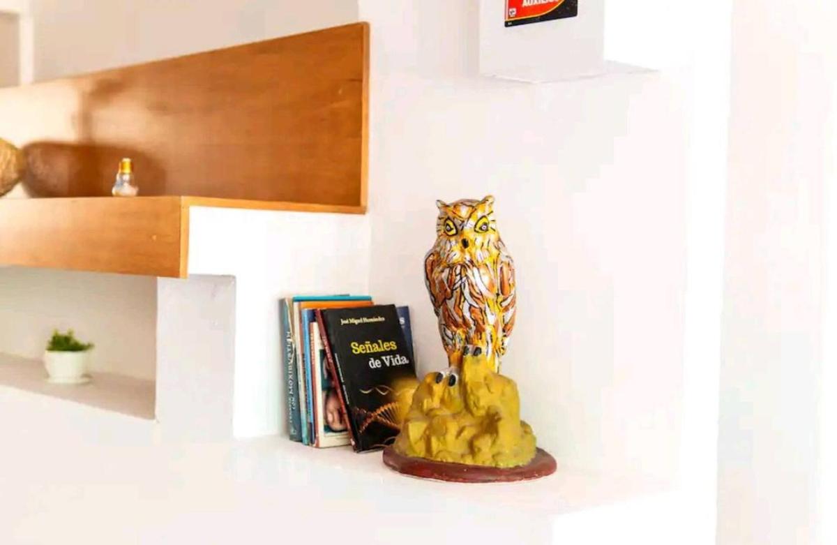 Puerto Vallarta Vacations - Room in Guest room - Suite 3 Vena Close to Cotsco - Property Image 2