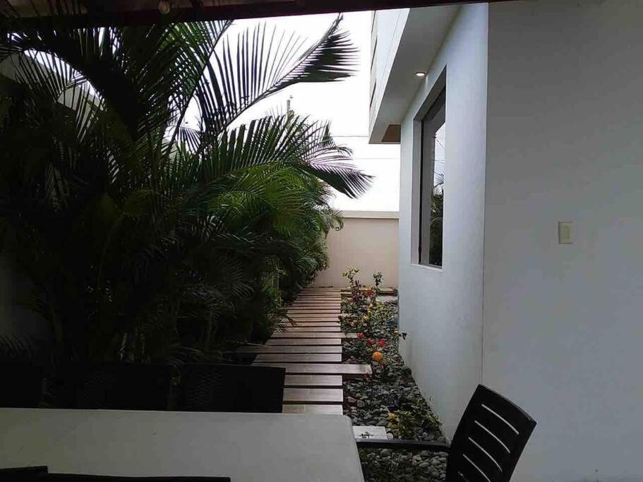 Deluxeguesthouse/vía Spondylus