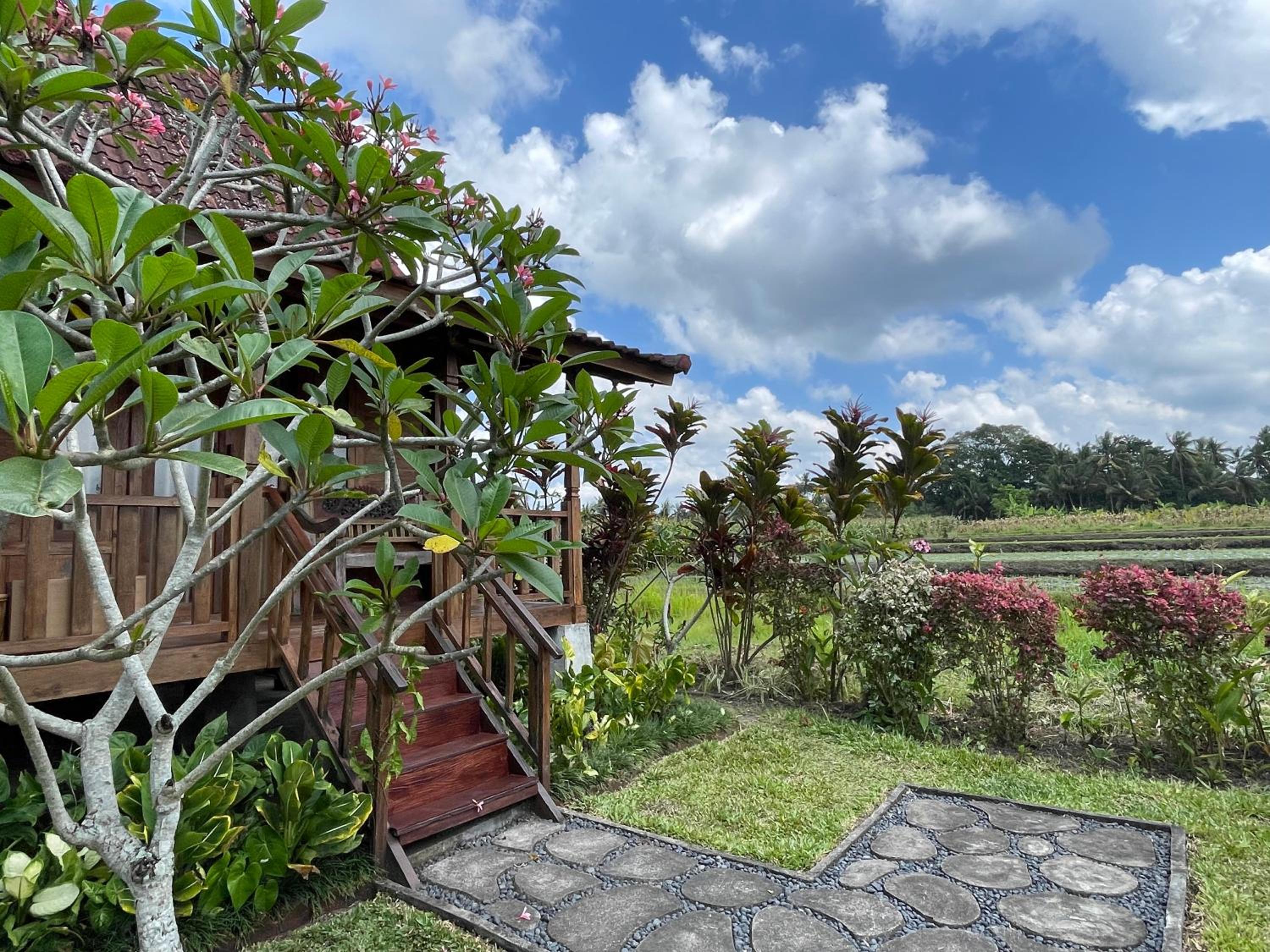 Sirya Farm House view 5