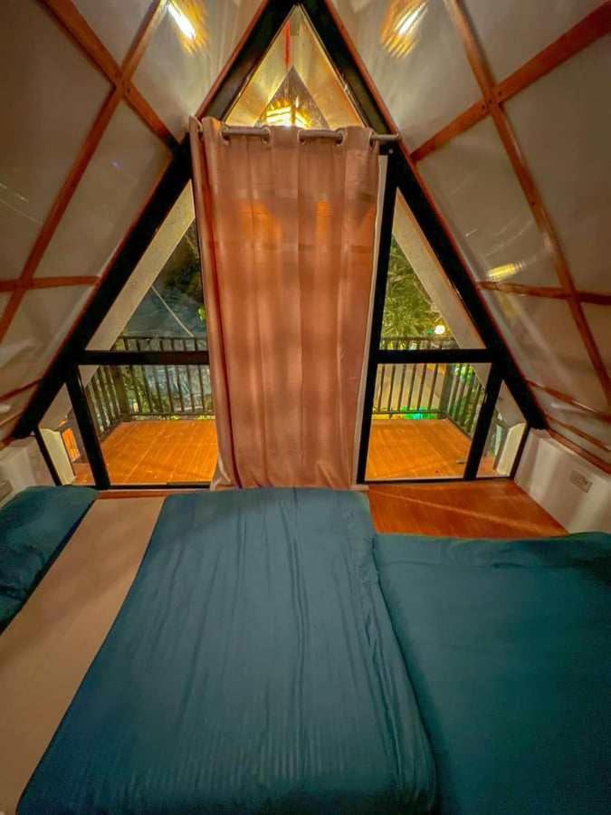 Remy's Nest