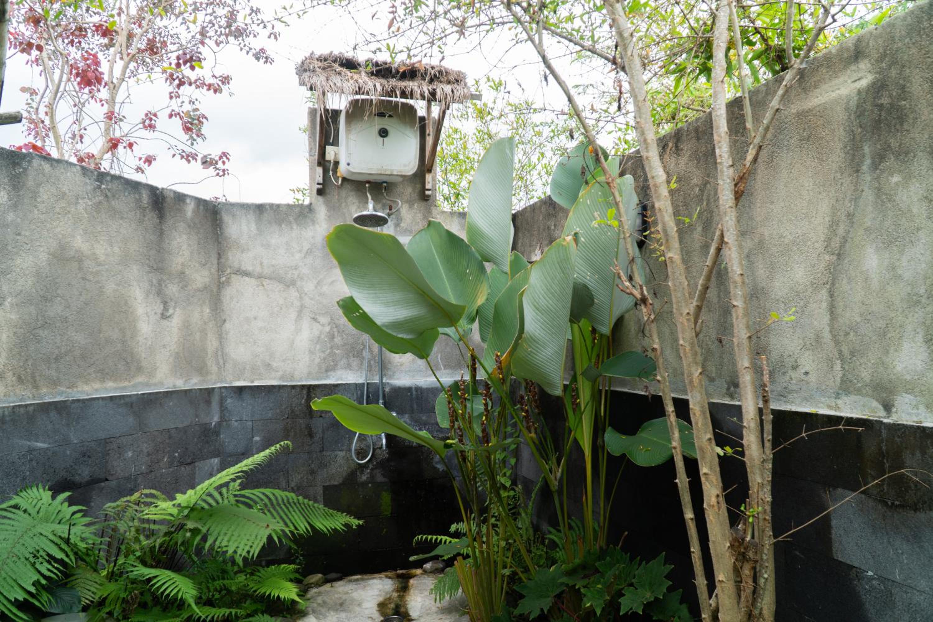 Aranka Tempasan